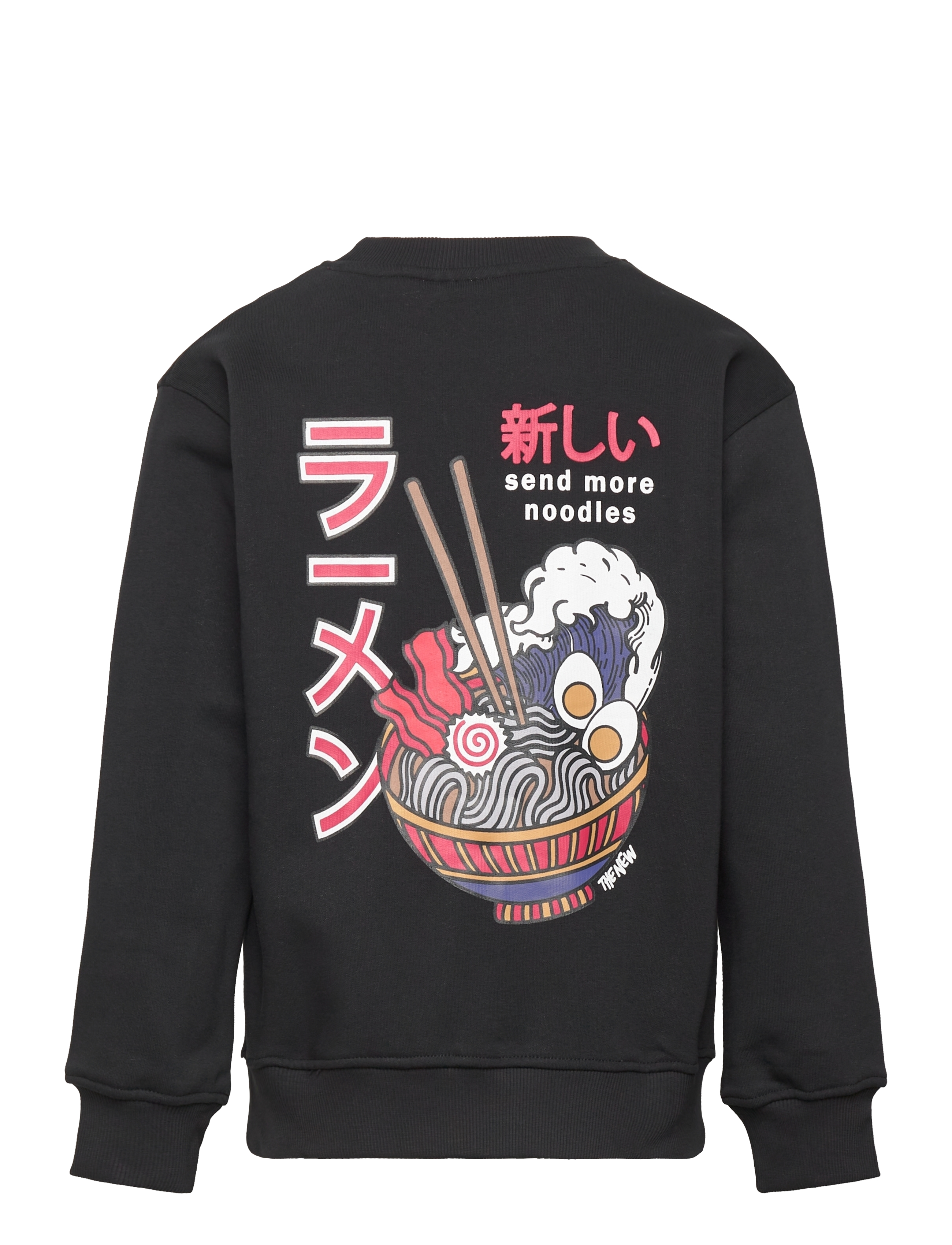 The New - TNIrwing OS Sweatshirt - black beauty - 1