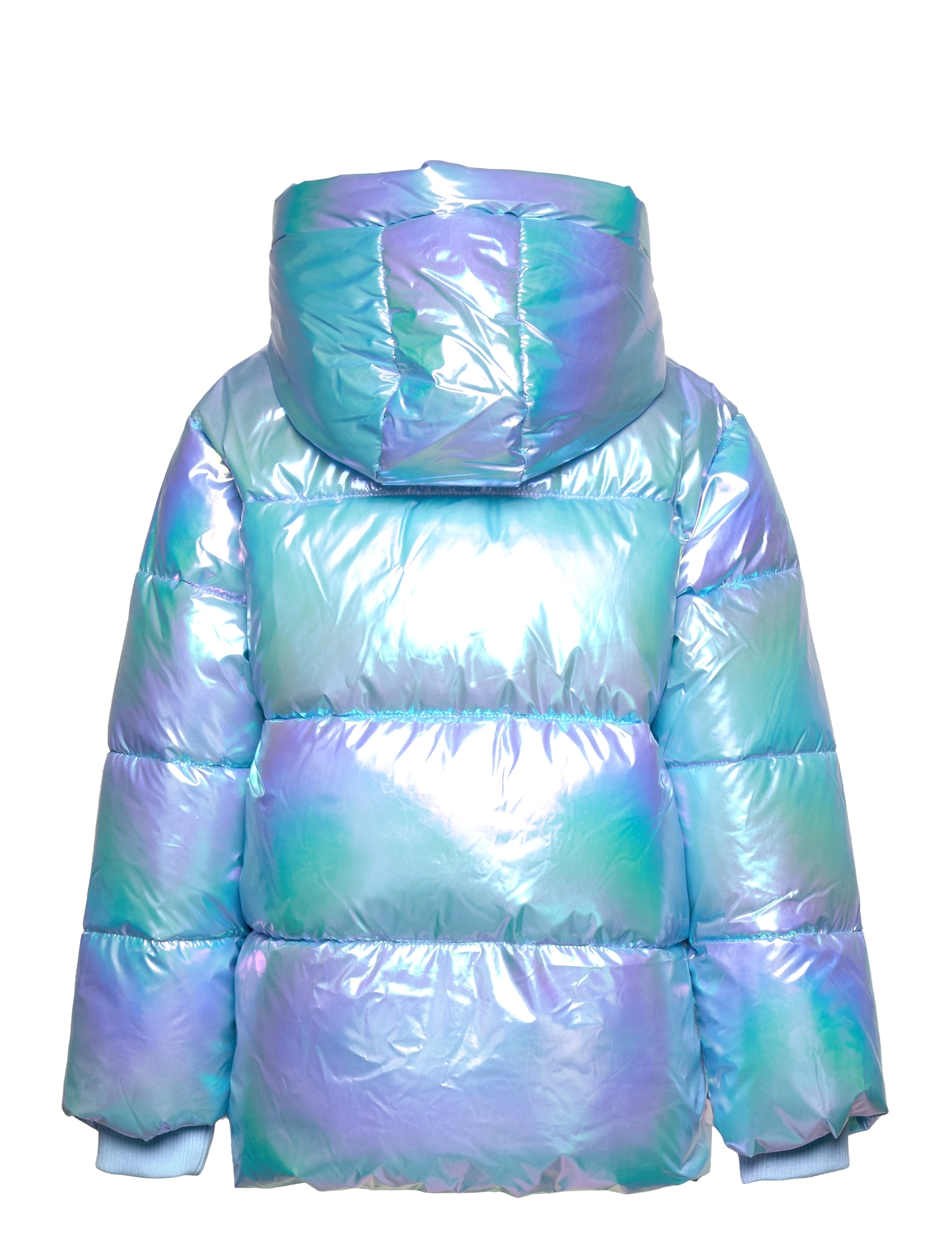 The New - TNHUBBA JACKET - metallic - 1