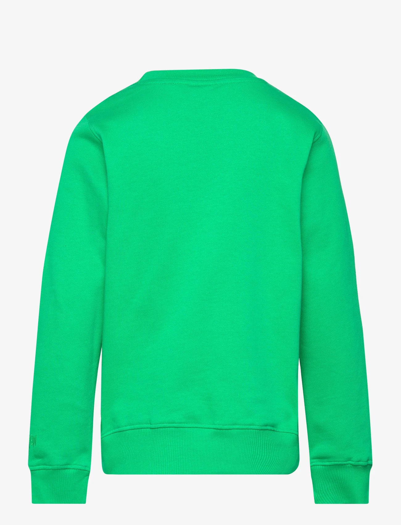 The New - TNJosline Sweatshirt - mažiausios kainos - bright green - 1