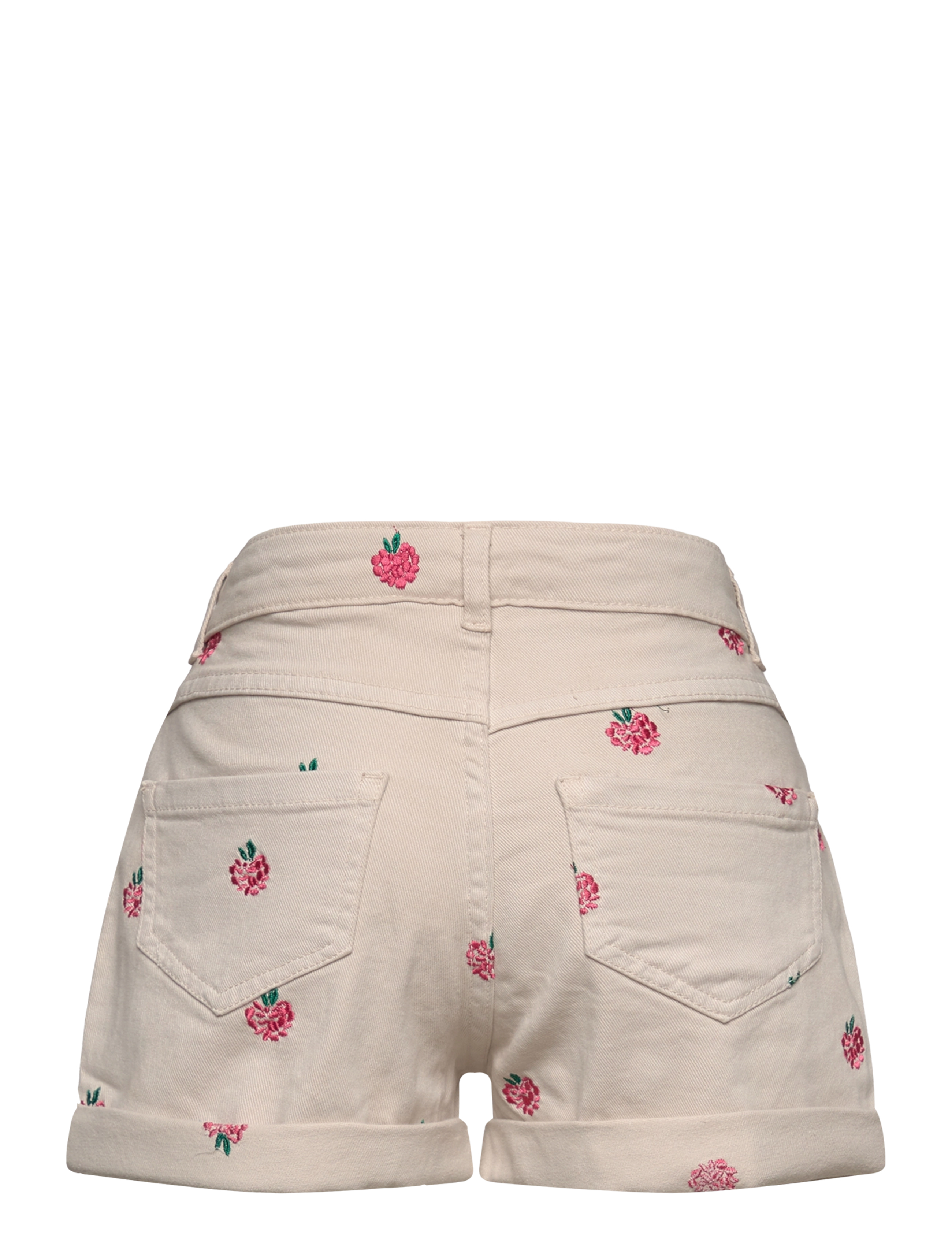 The New - TNJuana Shorts - oatmeal - 1