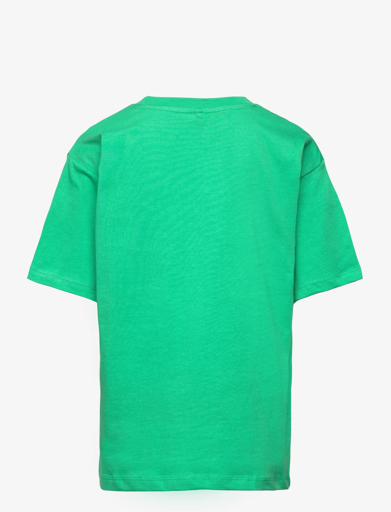 The New - TNFAEDO OS S_S TEE - short-sleeved t-shirts - holly green - 1