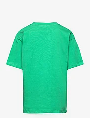 The New - TNFAEDO OS S_S TEE - short-sleeved t-shirts - holly green - 1