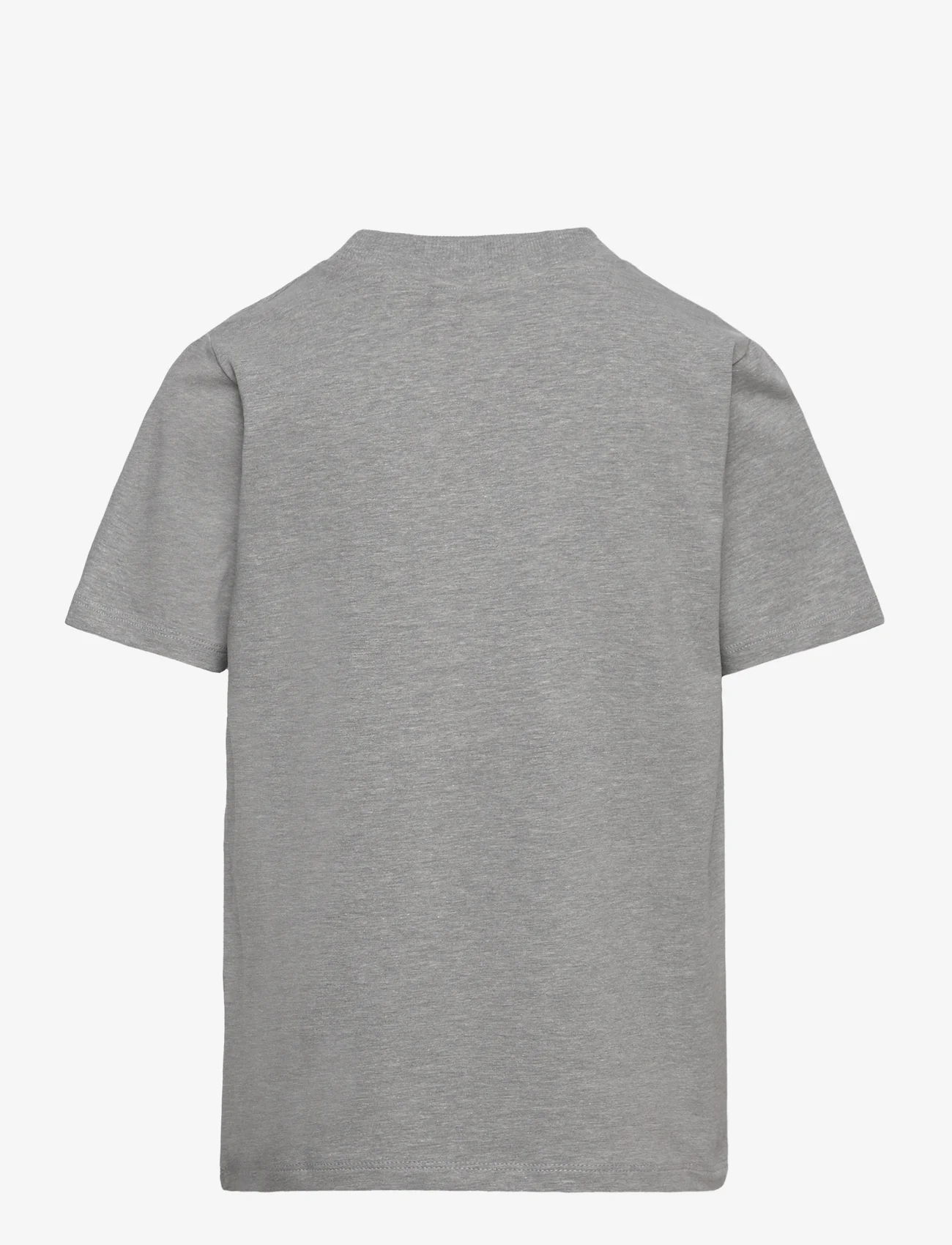 The New - TNFERON S_S TEE - kortærmede t-shirts - light grey melange - 1