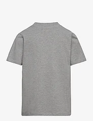 The New - TNFERON S_S TEE - kortärmade t-shirts - light grey melange - 1
