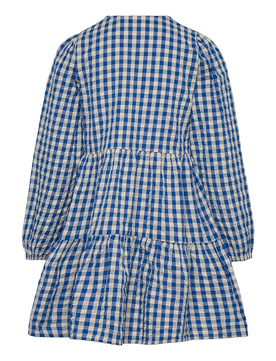 The New - TNNally L_S Dress - langärmelige freizeitkleider - daphne check - 2