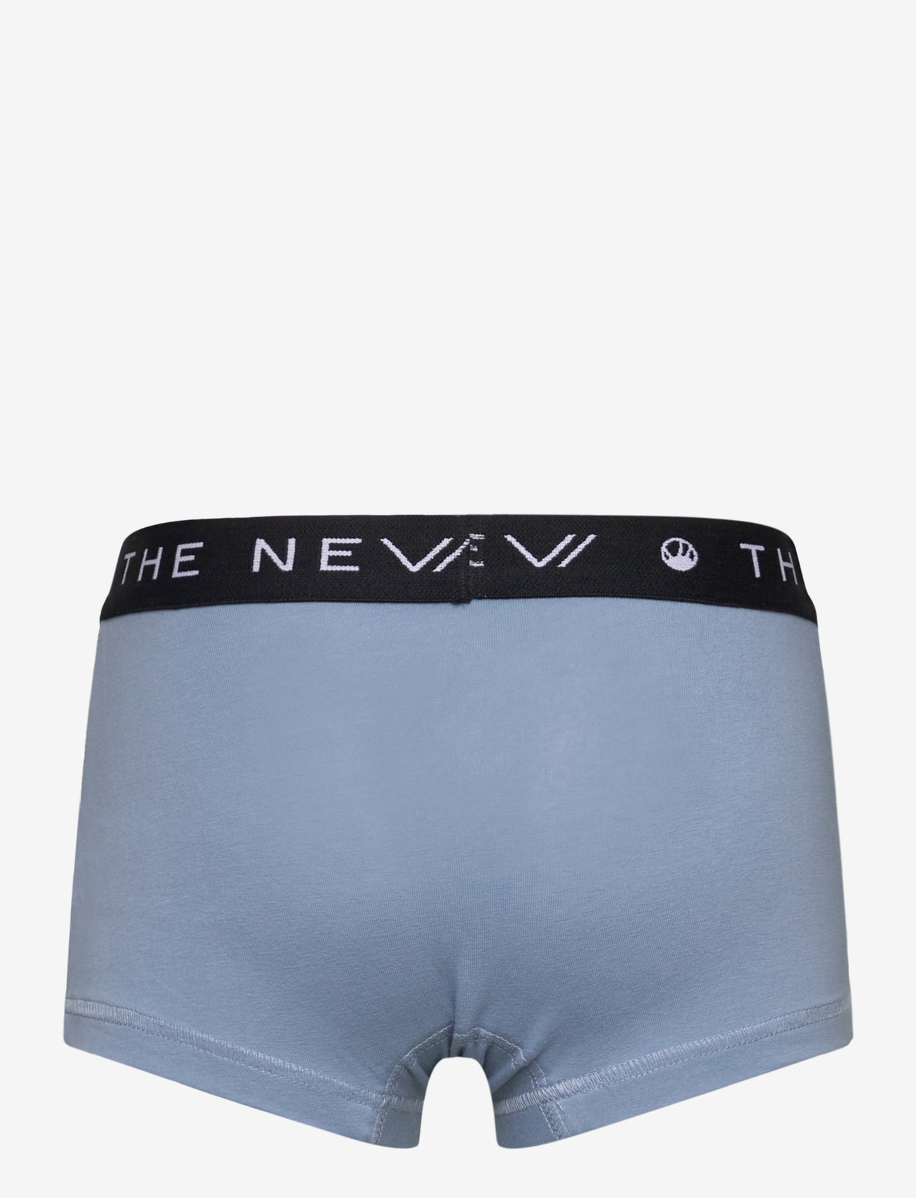The New - TNTHE NEW Hipsters 2-Pack - slips - ashley blue - 3