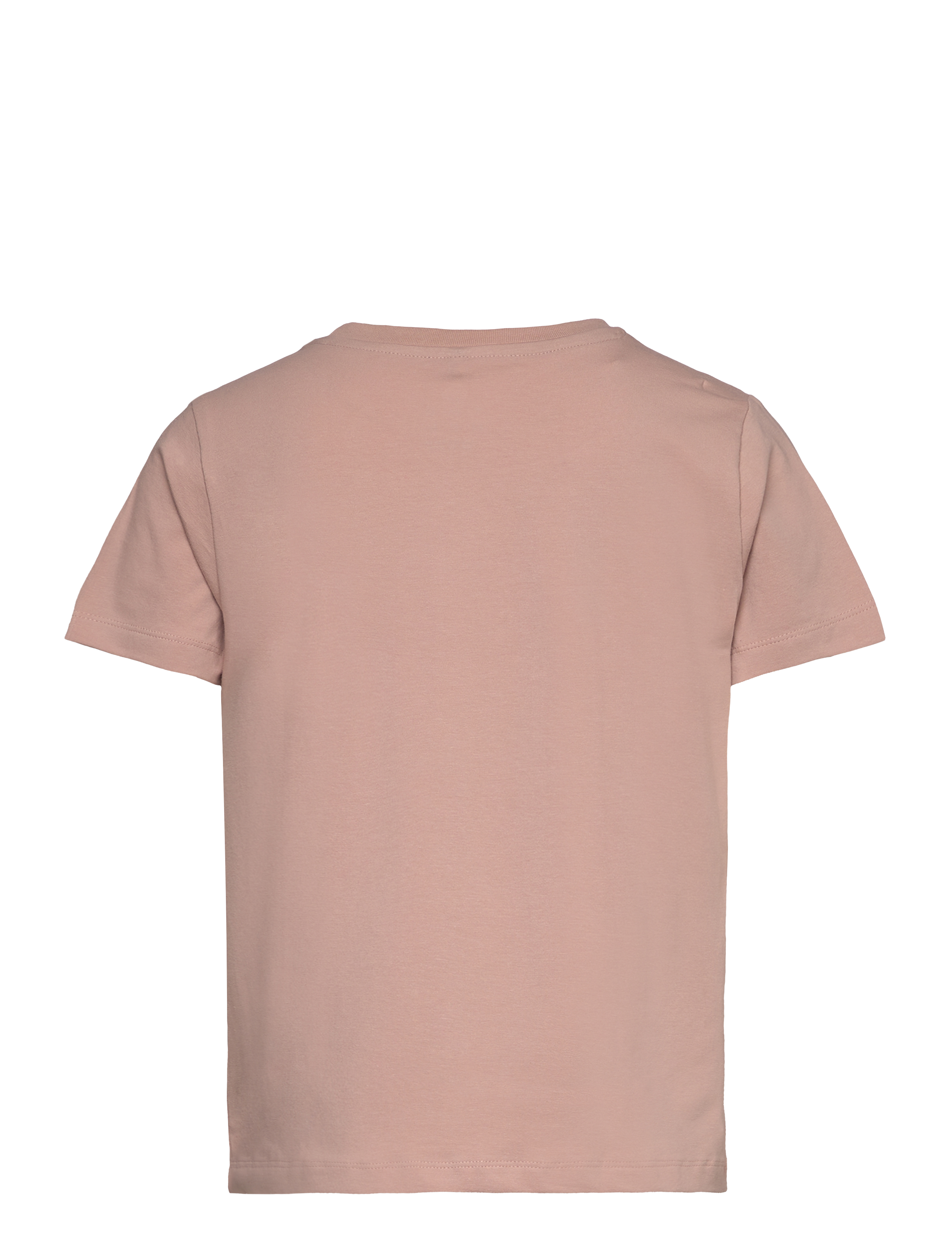 The New - TNNika S_S Tee - adobe rose - 1