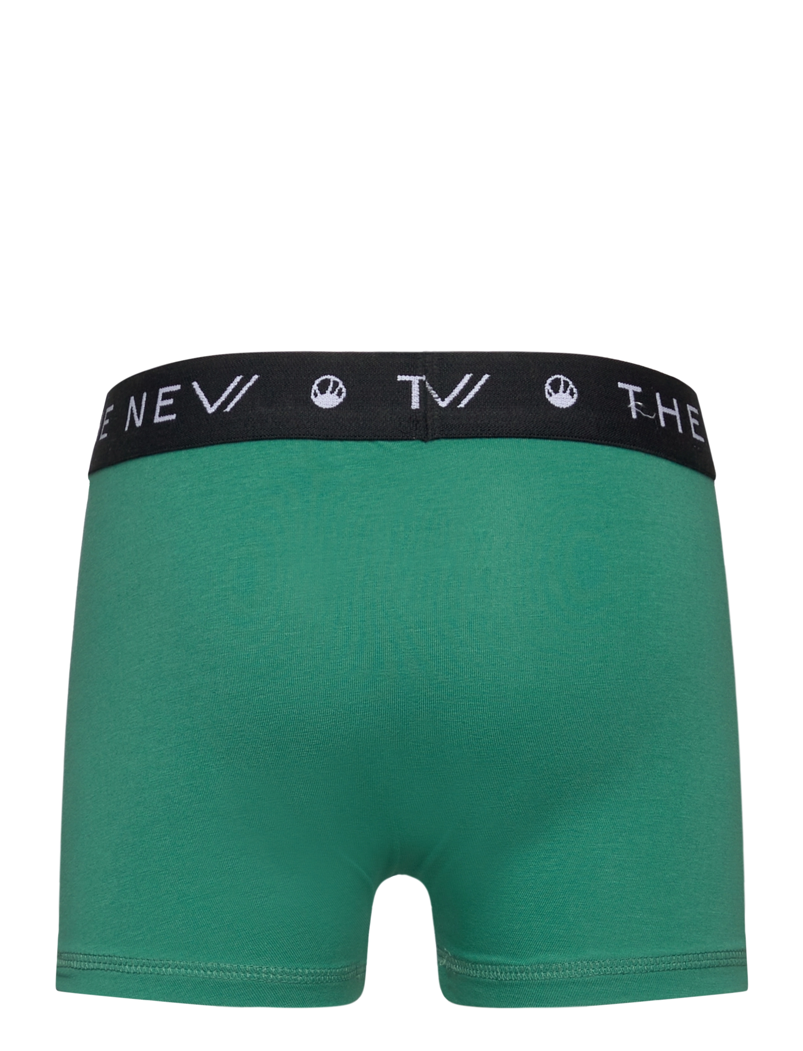 The New - TNTHE NEW Boxers 2-Pack - bottle green - 3