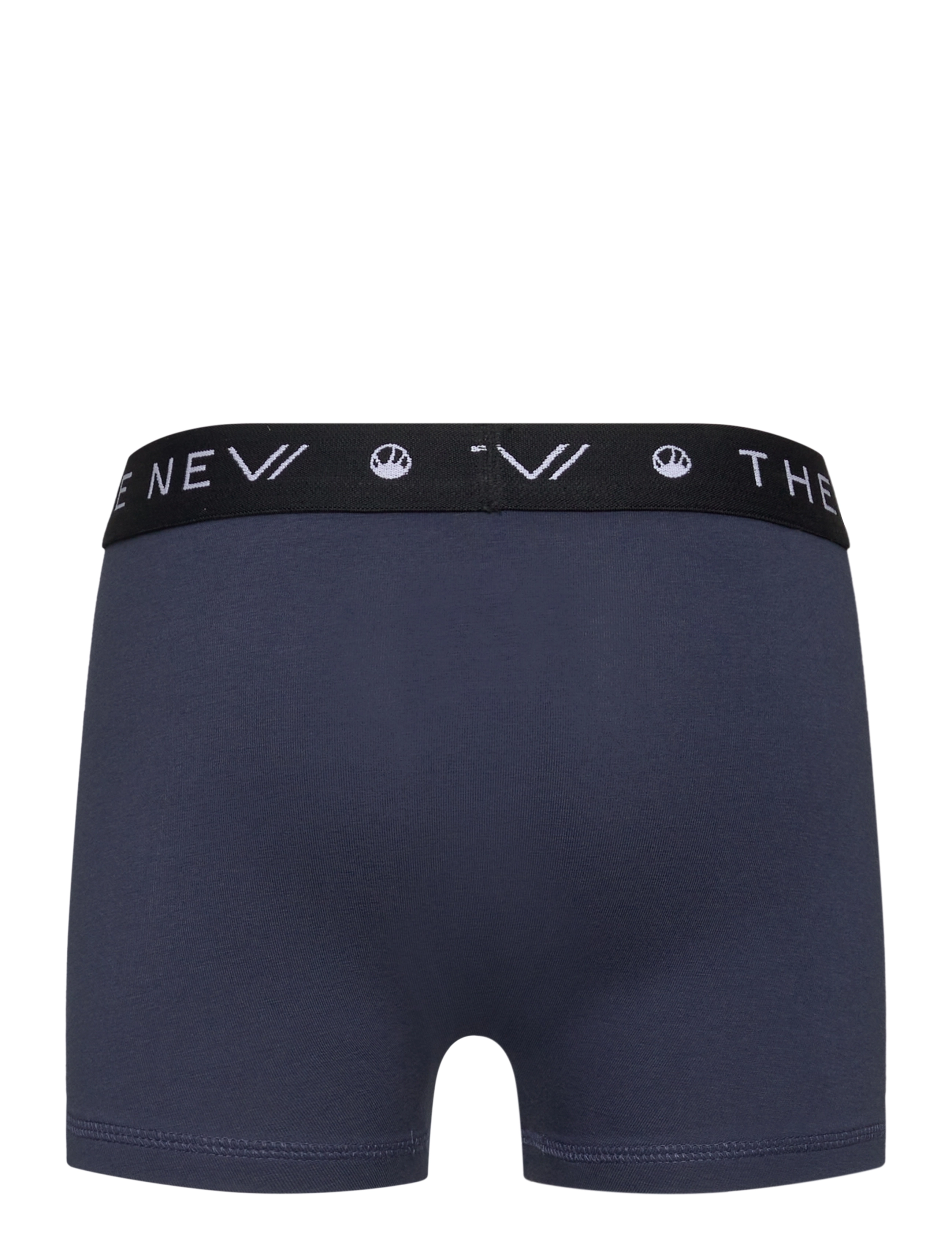 The New - TNTHE NEW Boxers 2-Pack - mood indigo - 3