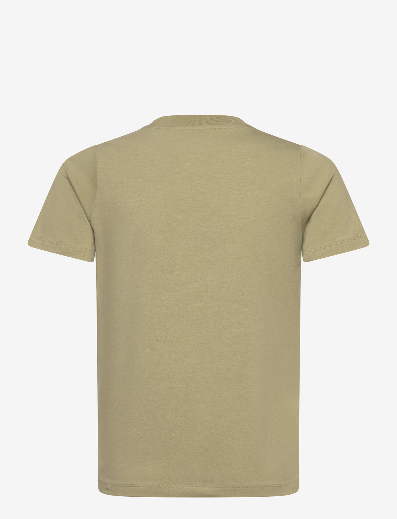 The New - TNOctavio S_S Tee - kurzärmelige - tea - 2