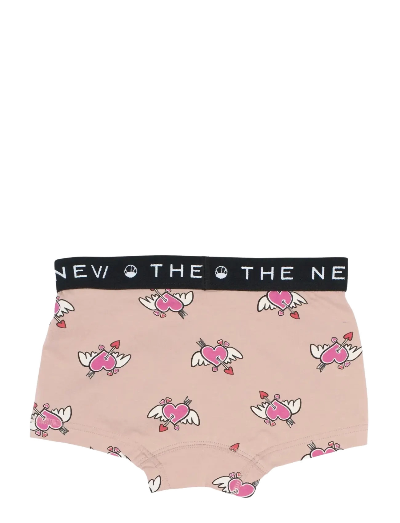 The New - TNTHE NEW Hipsters 2-Pack - panties - gray ridge - 2
