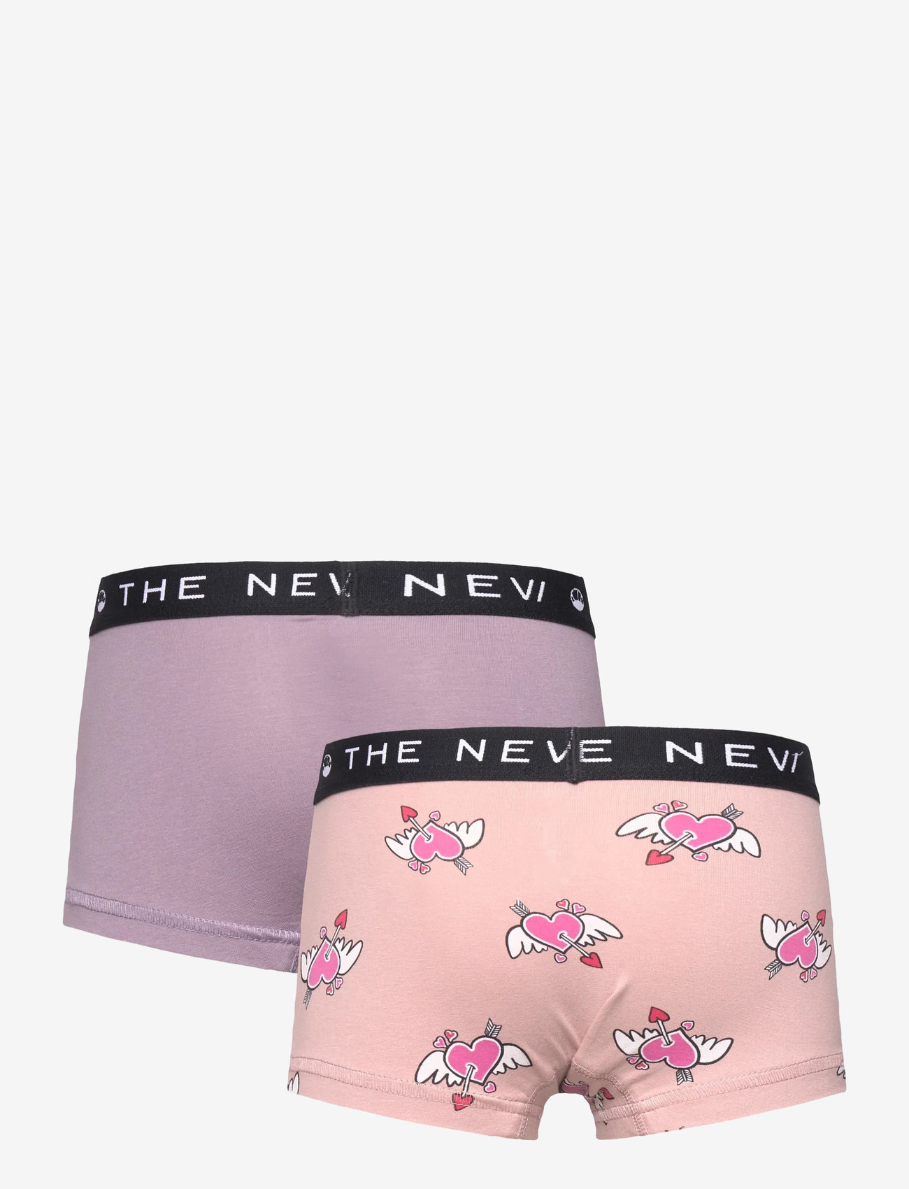 The New - TNTHE NEW Hipsters 2-Pack - aluspüksid - gray ridge - 1