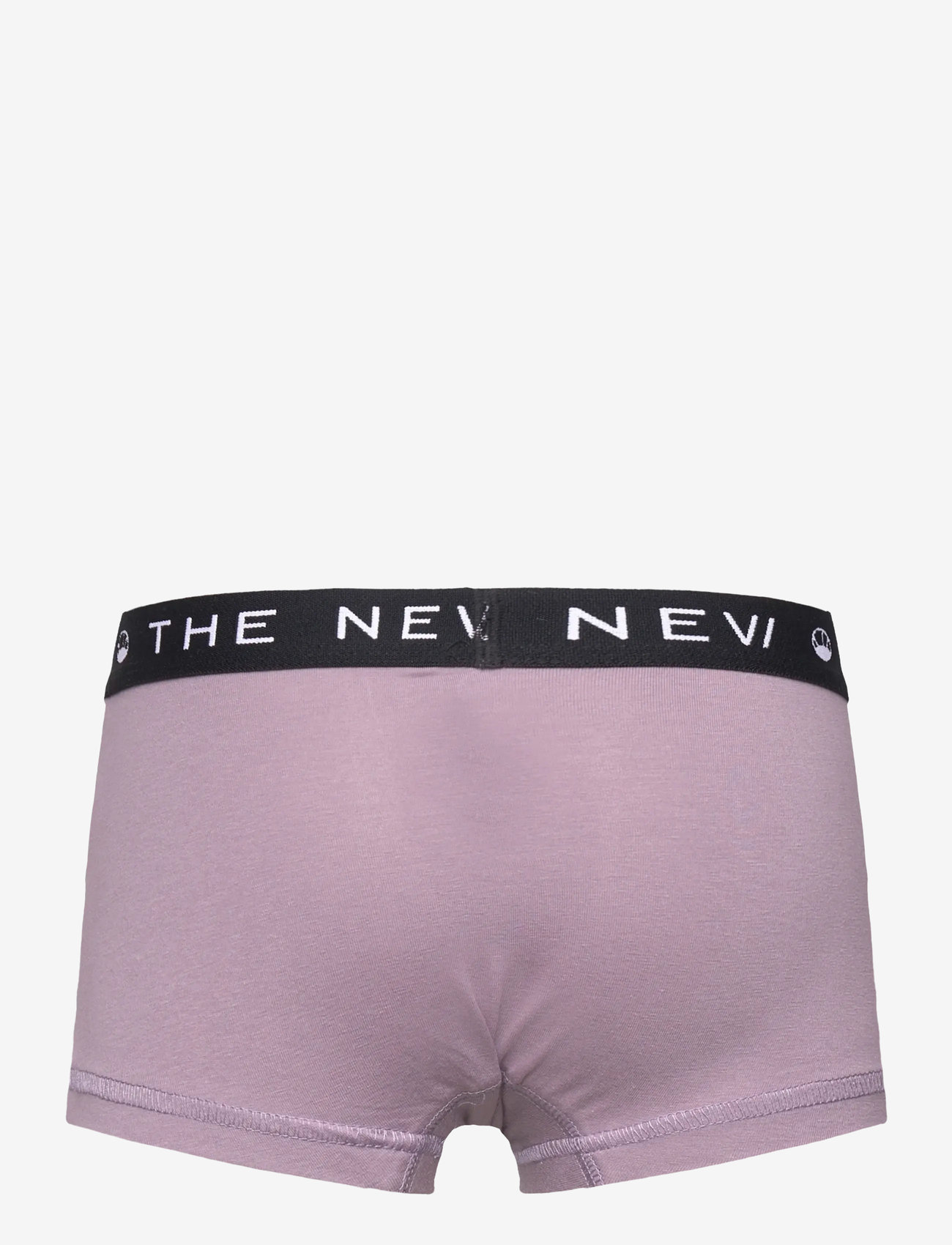 The New - TNTHE NEW Hipsters 2-Pack - aluspüksid - gray ridge - 3