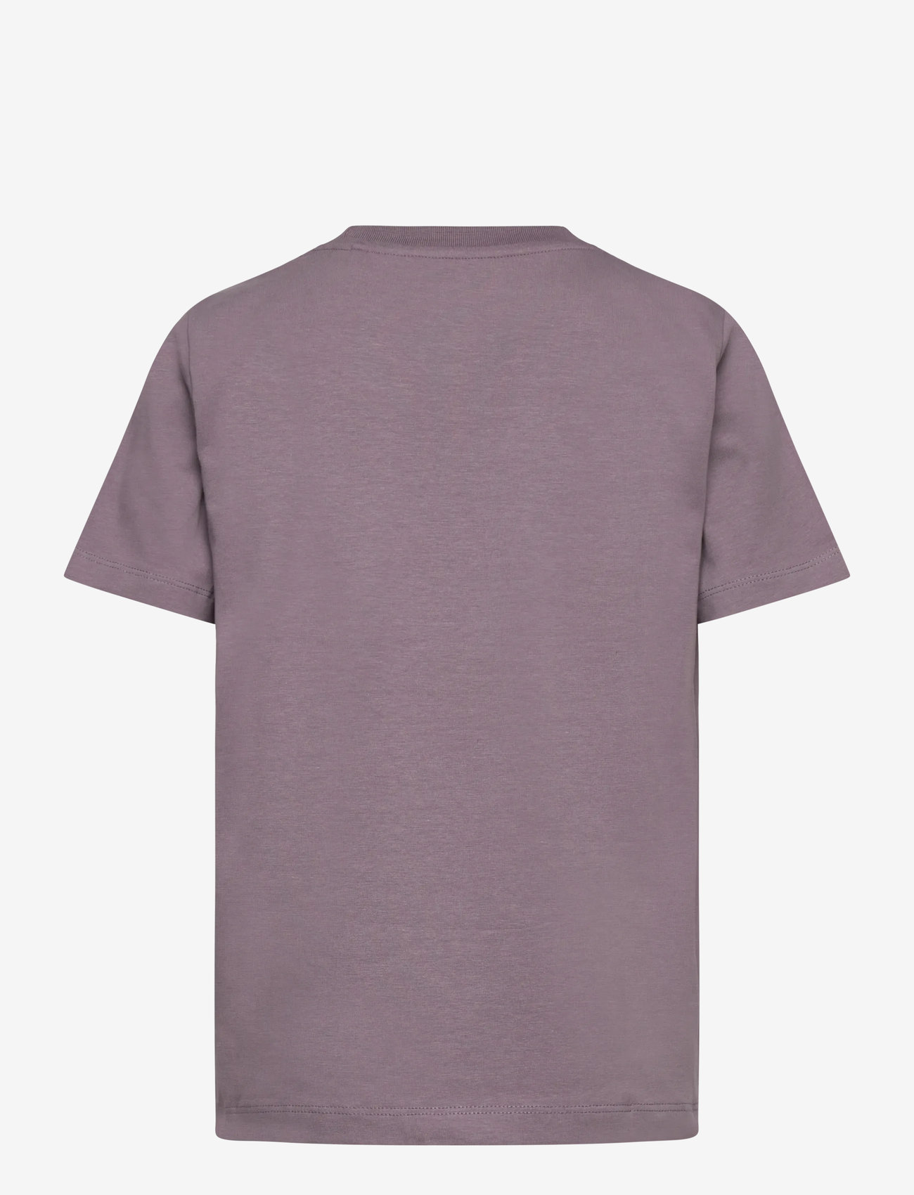 The New - TNPhilippa S_S Tee - rudens drabužiai - gray ridge - 1