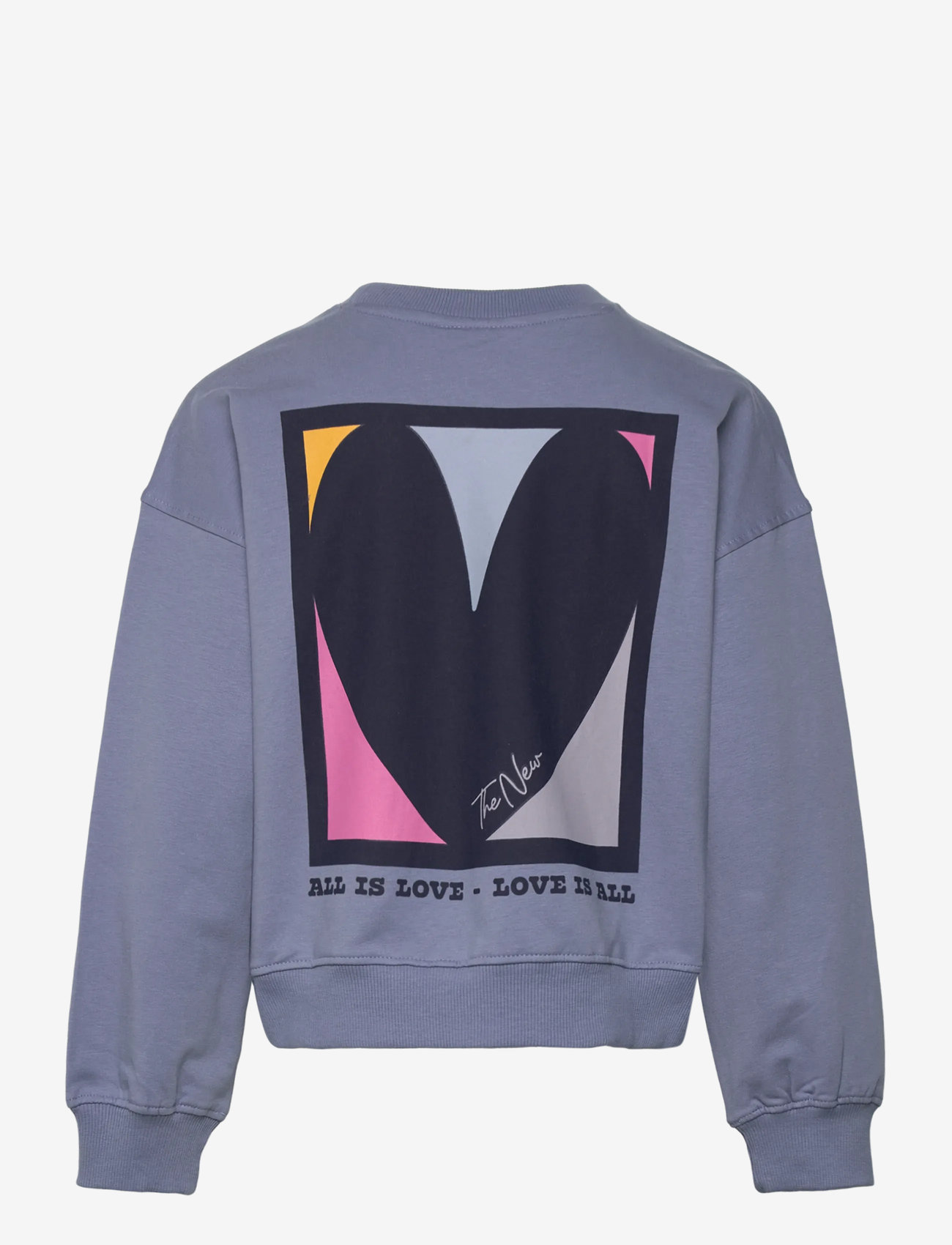 The New - TNPetria Short OS Sweatshirt - sweatshirts - tempest - 2