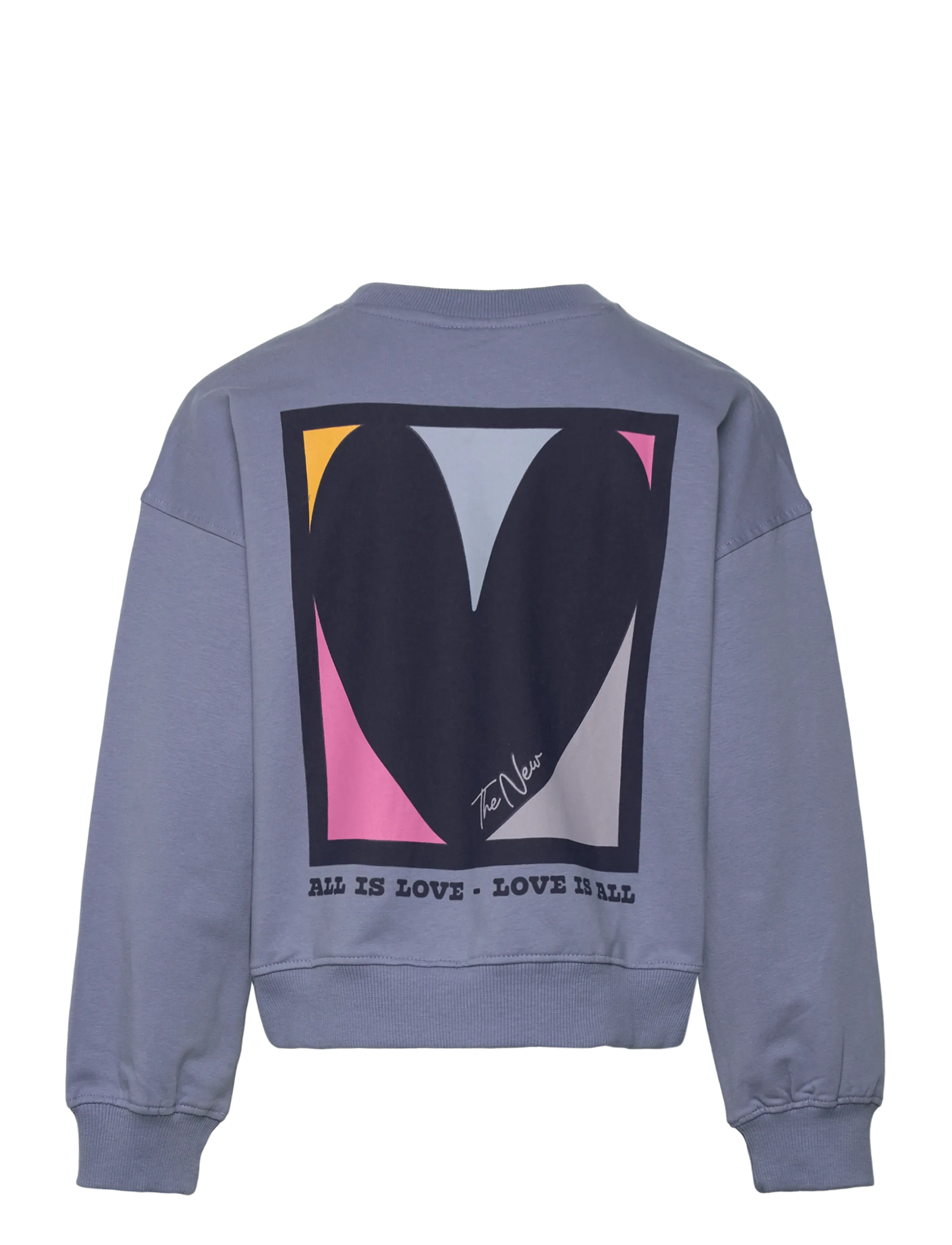 The New - TNPetria Short OS Sweatshirt - sweat-shirt - tempest - 2