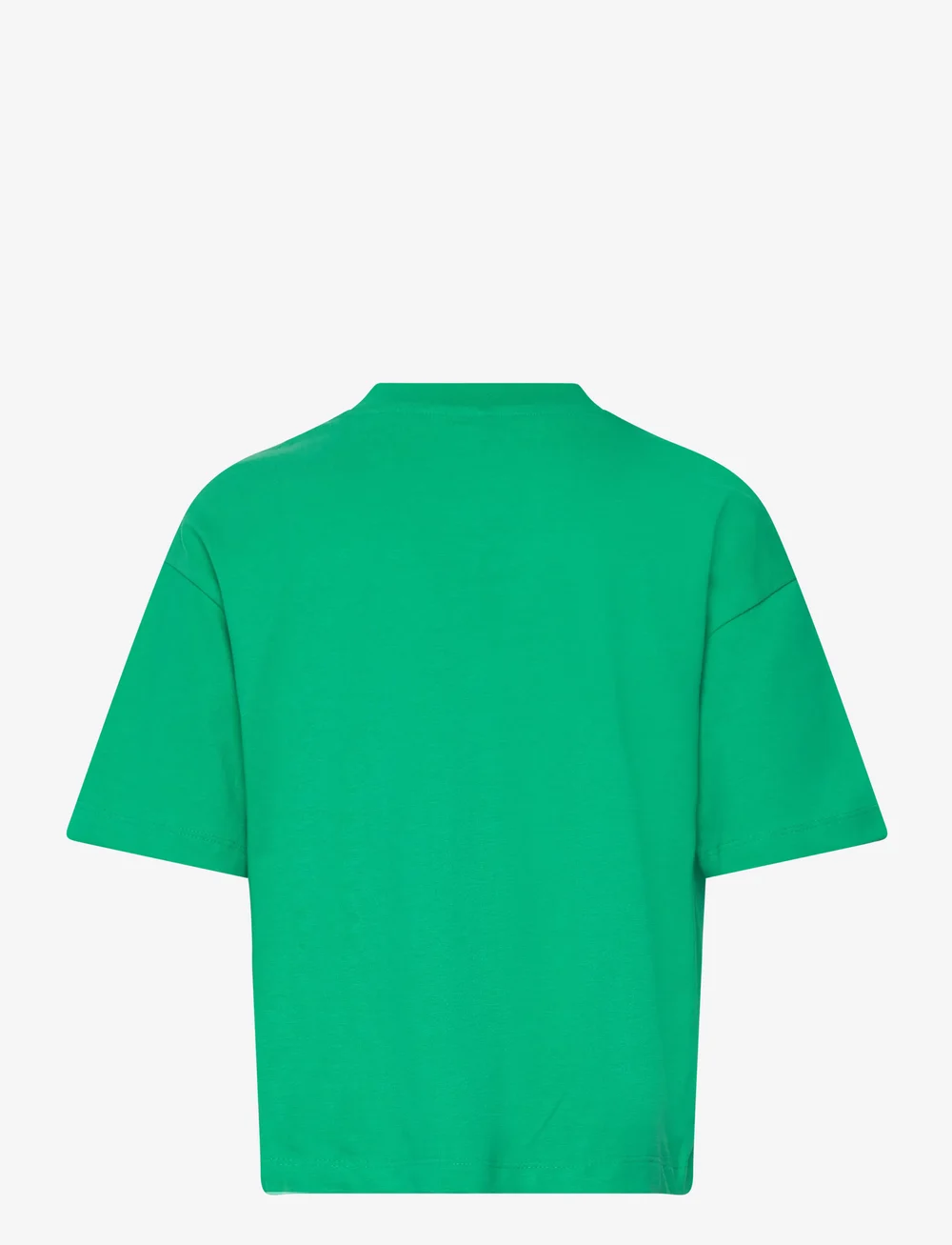 The New - TNPraise OS S_S Tee - kurzärmelige - simply green - 2