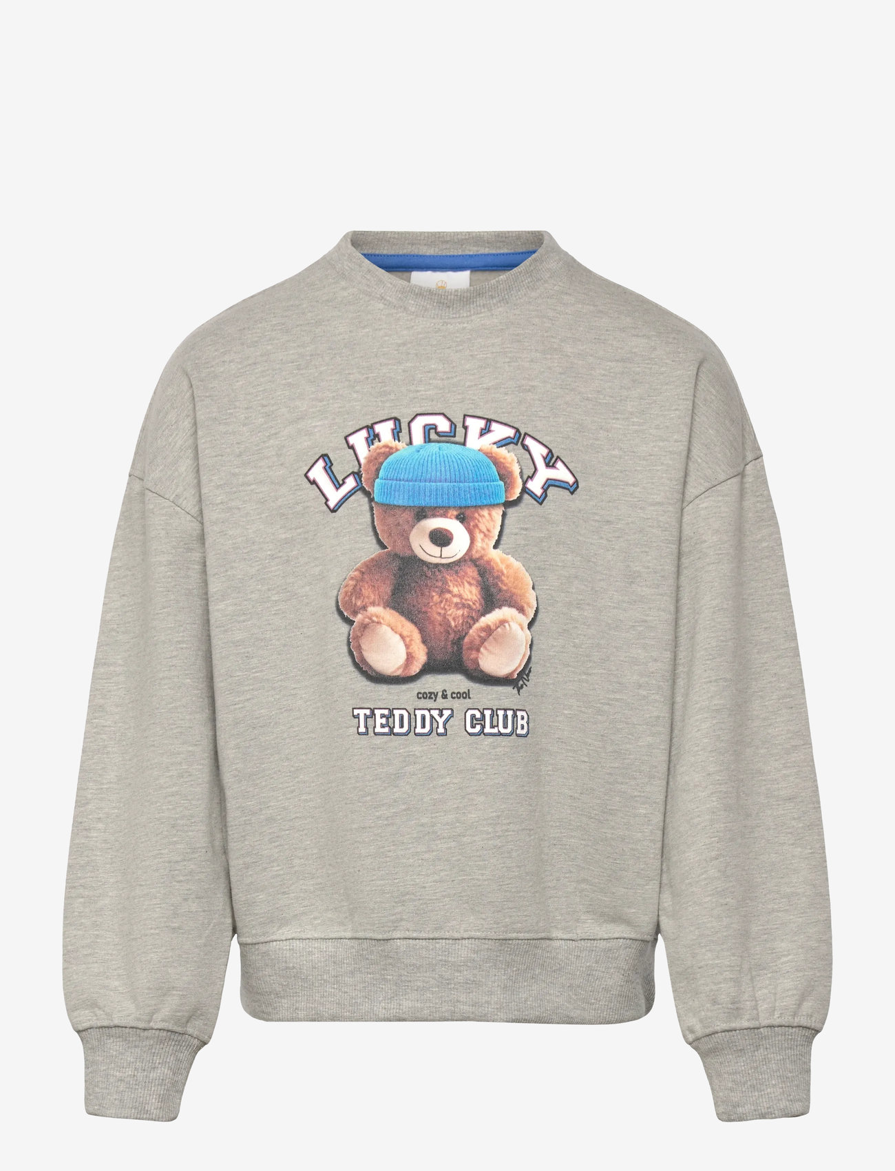 The New - TNPendra OS Sweatshirt - dressipluusid - light grey melange - 1