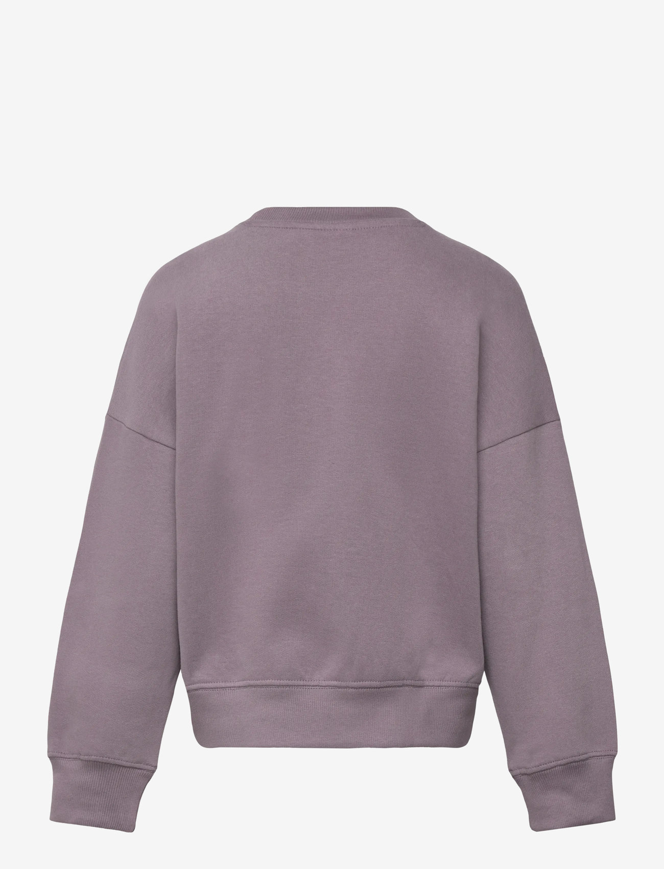 The New - TNPrecious OS Sweatshirt - efterårstøj - gray ridge - 1