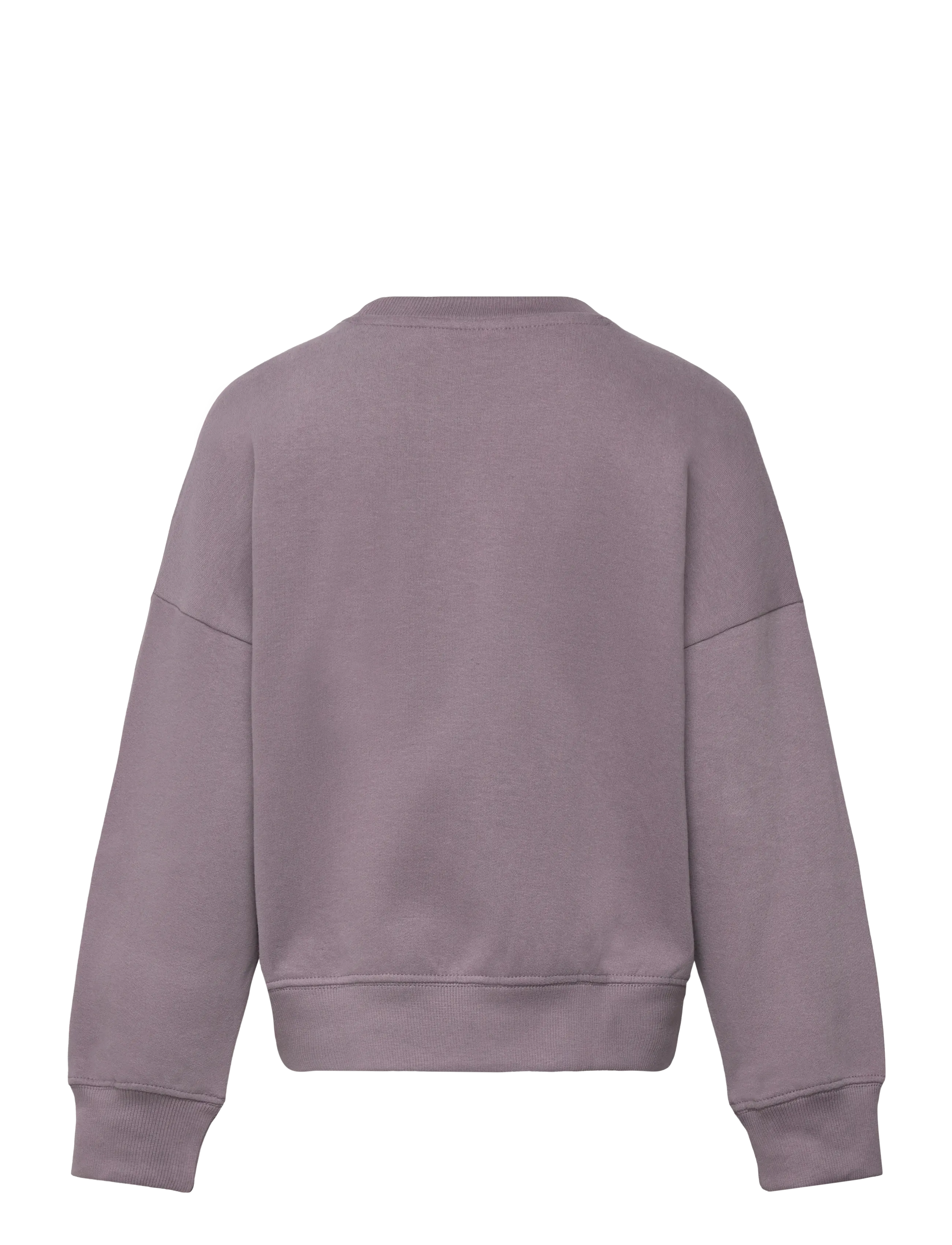 The New - TNPrecious OS Sweatshirt - collegepaidat - gray ridge - 2