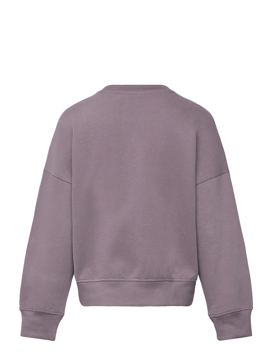 The New - TNPrecious OS Sweatshirt - collegepaidat - gray ridge - 2