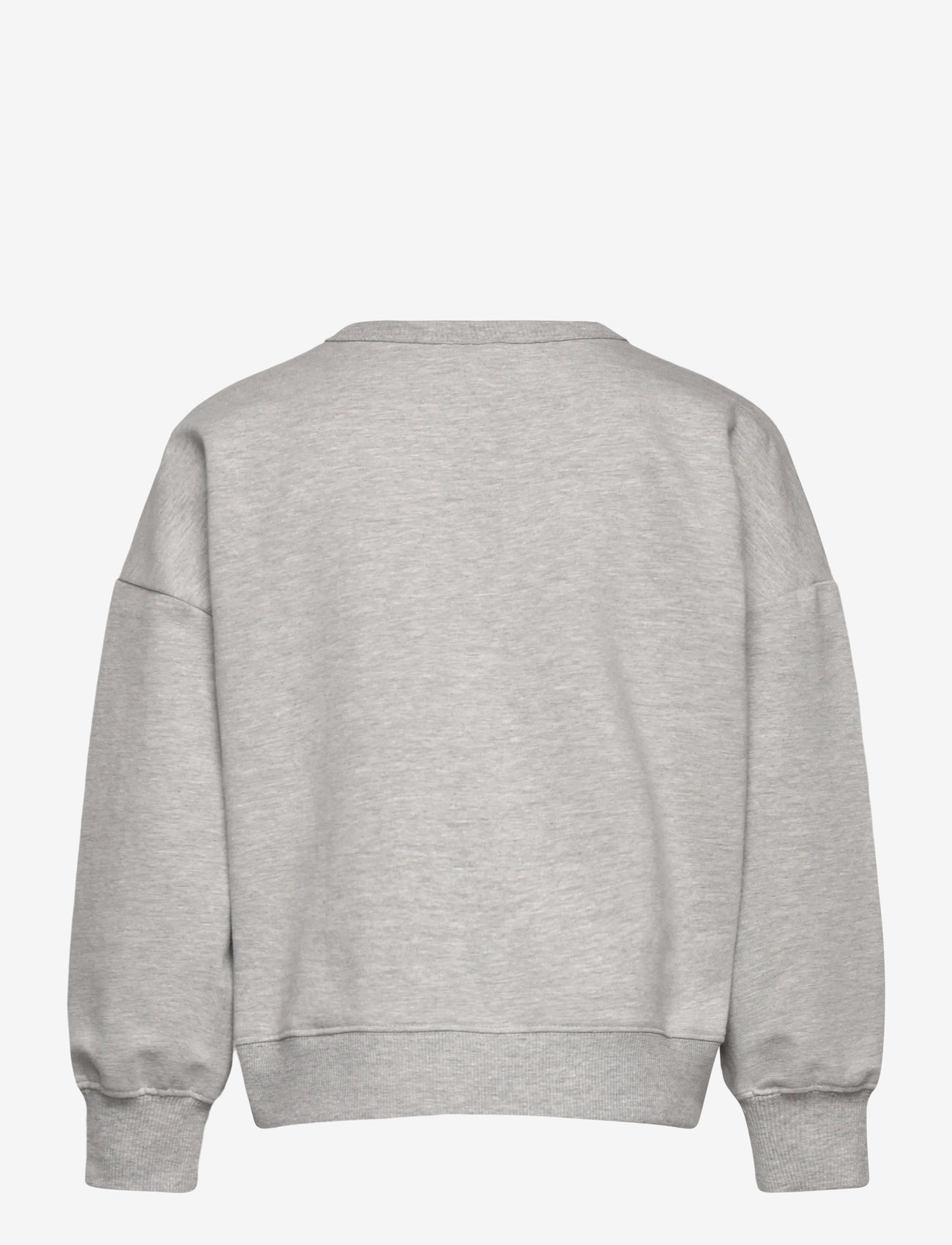 The New - TNPolina OS Sweatshirt - dressipluusid - light grey melange - 2