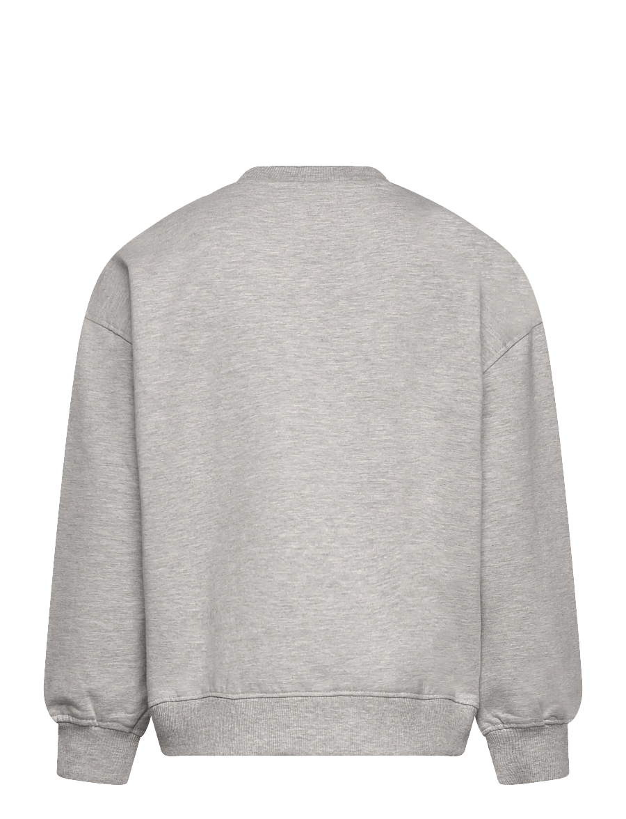 The New - TNPenno OS Sweatshirt - joggingpeysur - light grey melange - 2