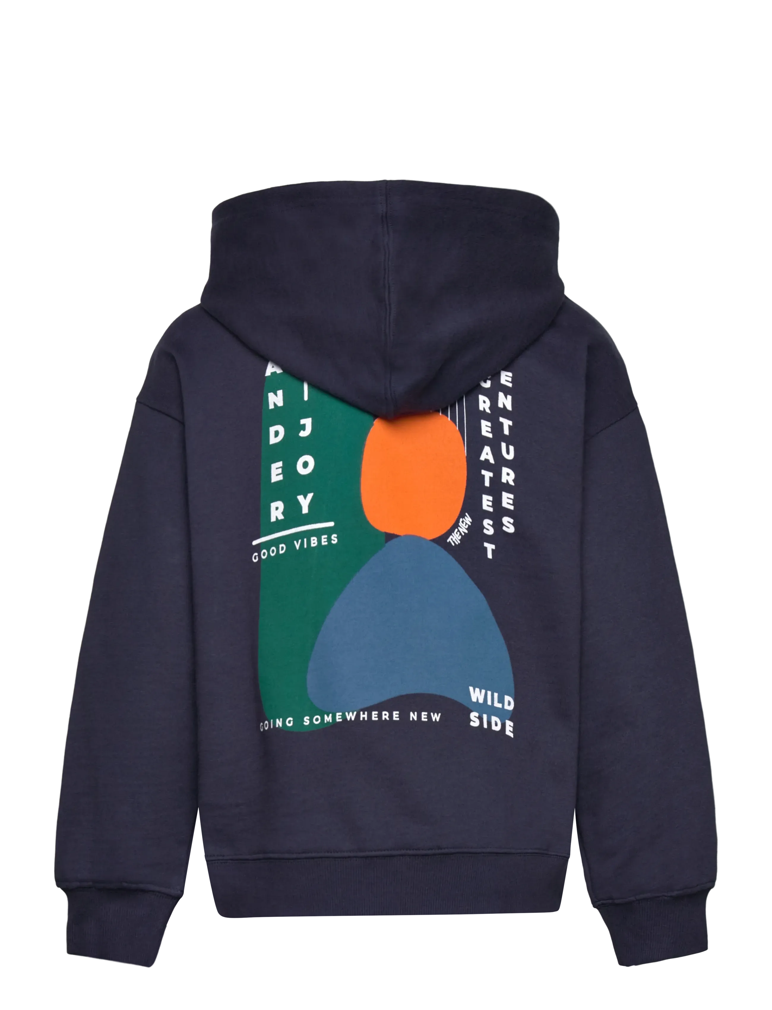 The New - TNParvelo OS Hoodie - kapuzenpullover - navy blazer - 1