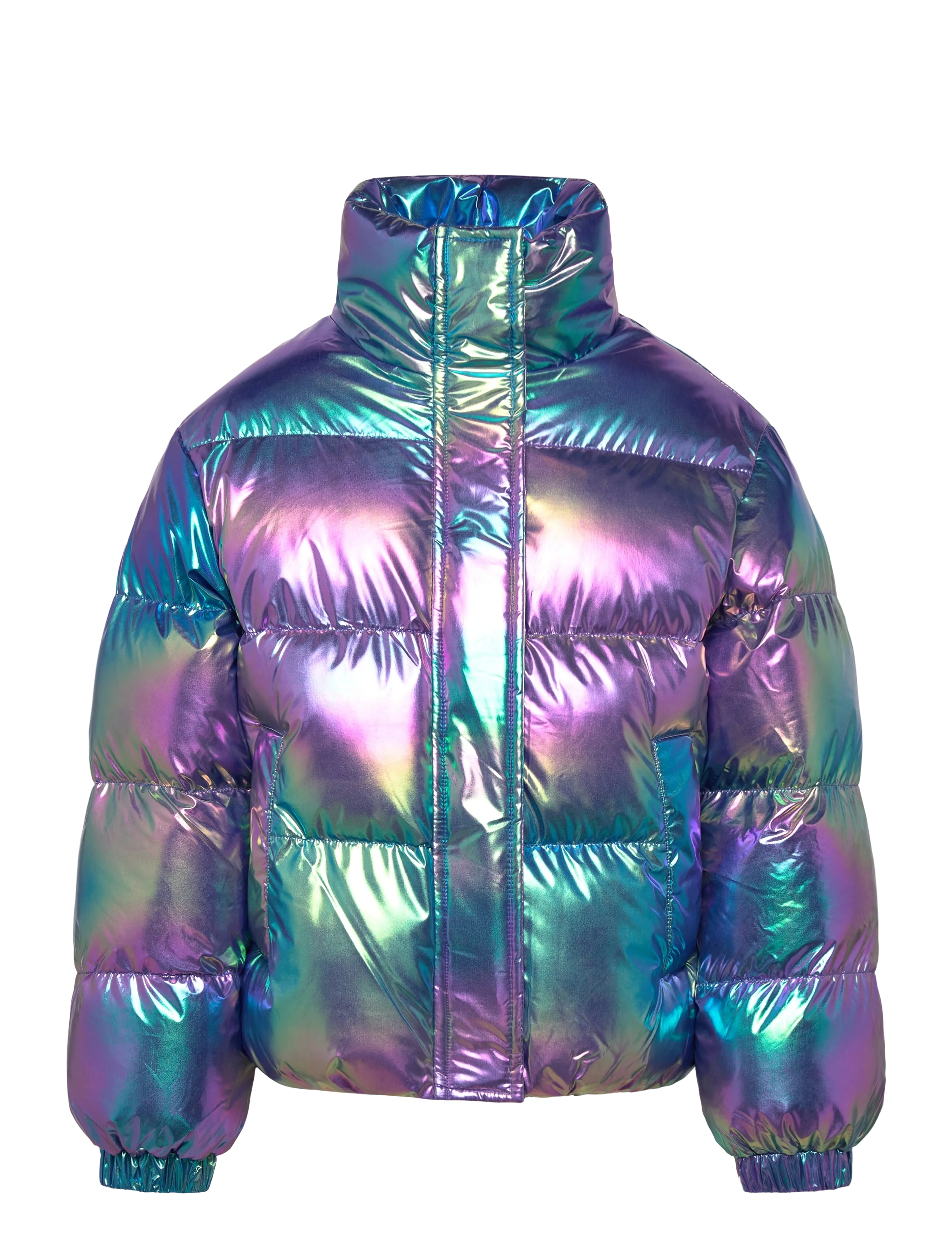 The New TNParis Jacket - Vintertøj - METALLIC / multi