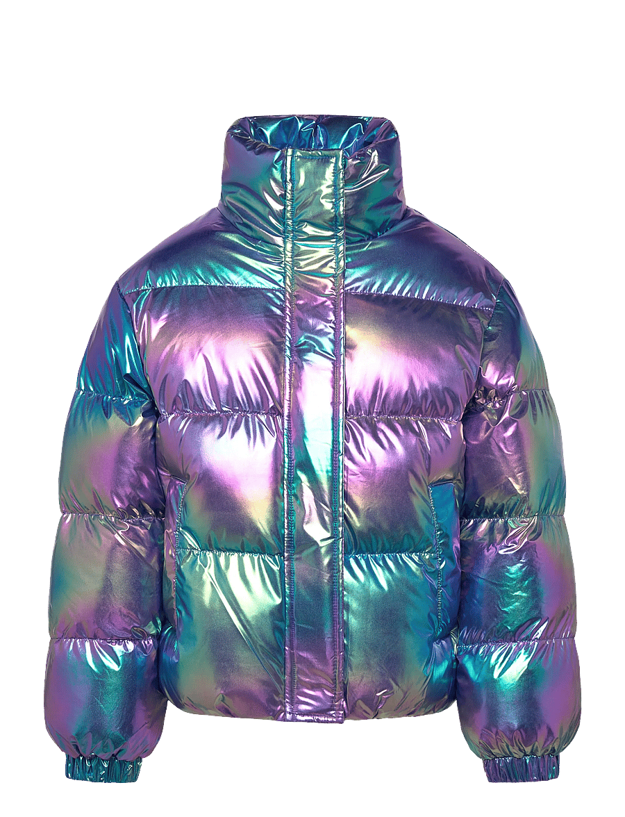 The New - TNParis Jacket - Žieminė striukė - metallic - 1
