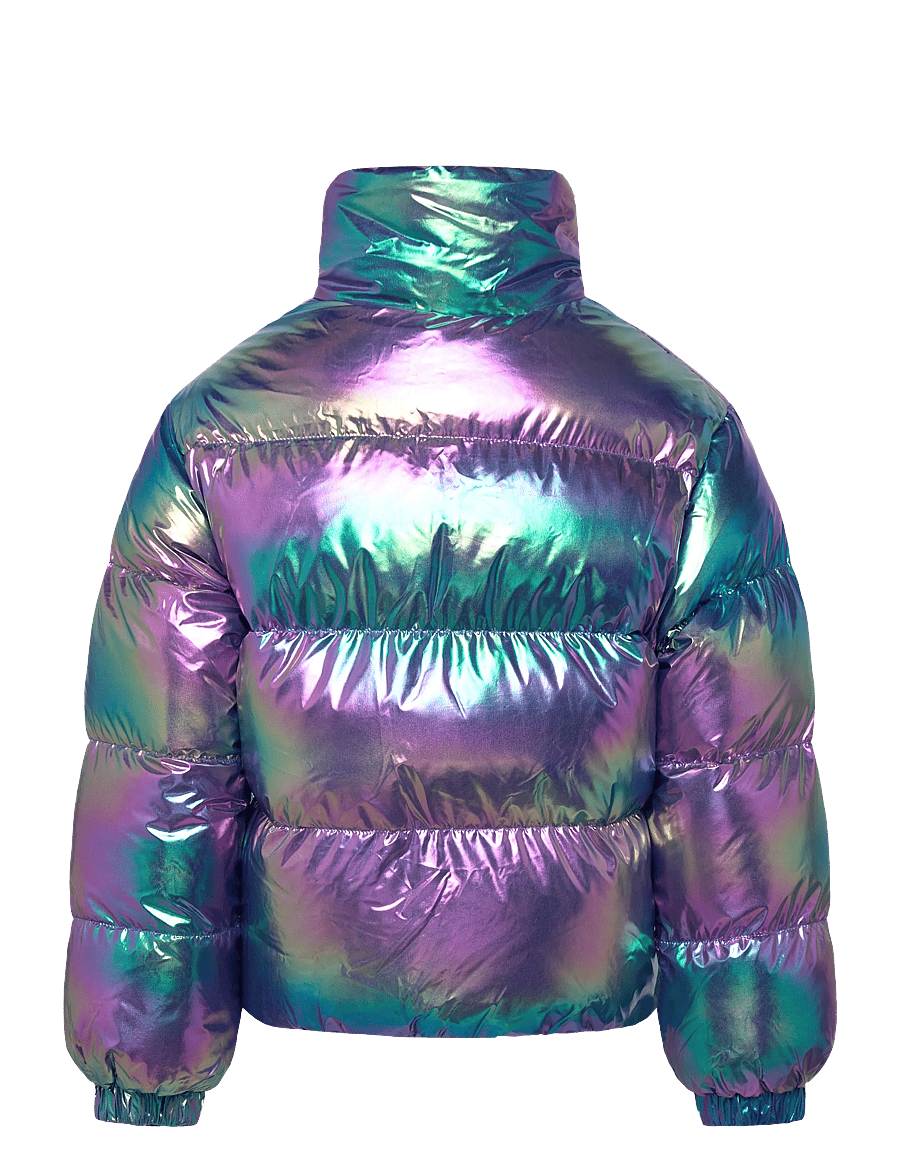The New - TNParis Jacket - Žieminė striukė - metallic - 2
