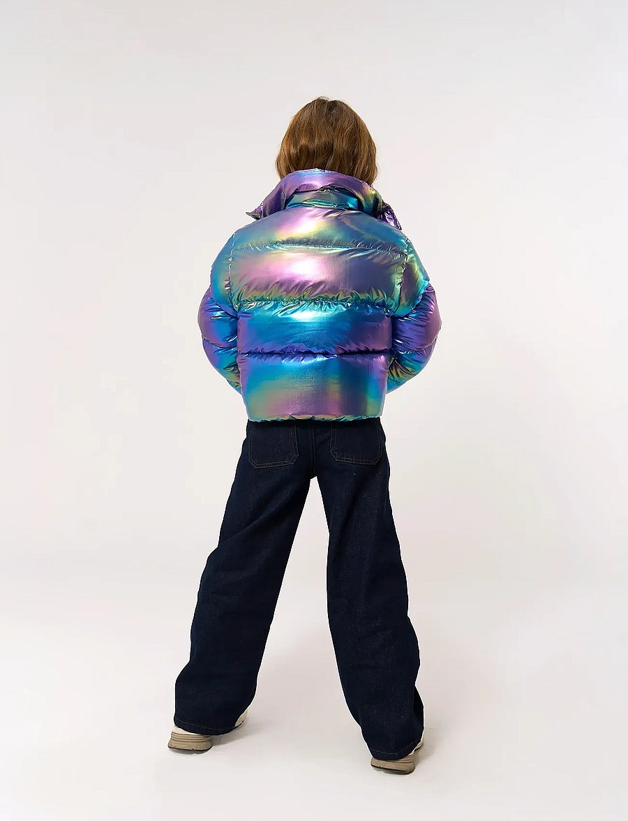 The New - TNParis Jacket - Žieminė striukė - metallic - 3