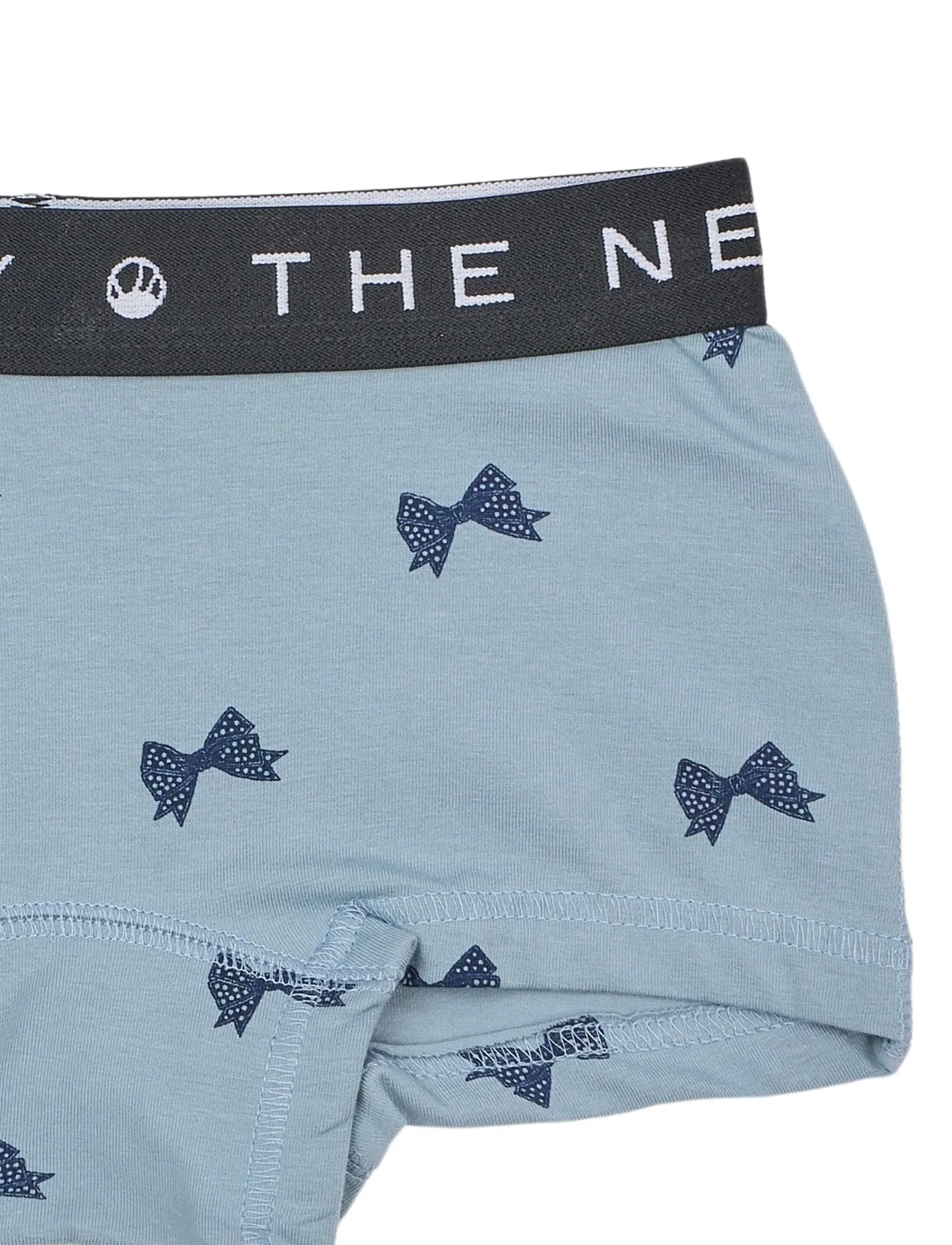 The New - TNTHE NEW Hipsters 2-Pack Exp - unterteile - ashley blue bow aop - 2