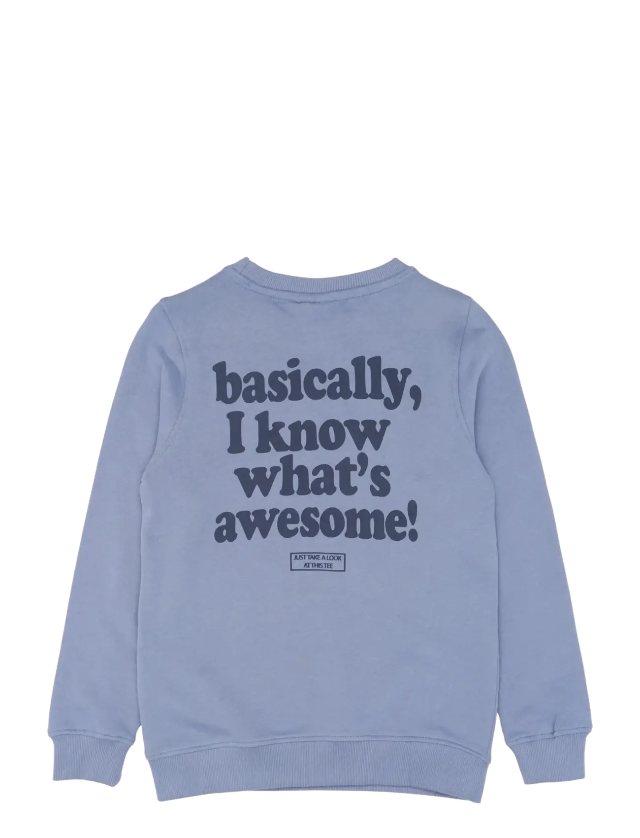 The New - TNRyatt Sweatshirt - tempest - 2