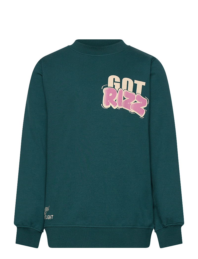 The New - TNReg Sweatshirt - sweatshirts - deep teal - 1