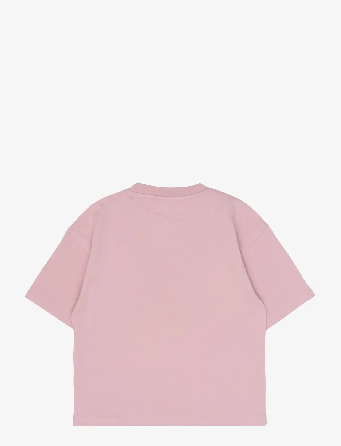 The New - TNShannet OS S_S Tee - kortärmade t-shirts - silver pink - 2