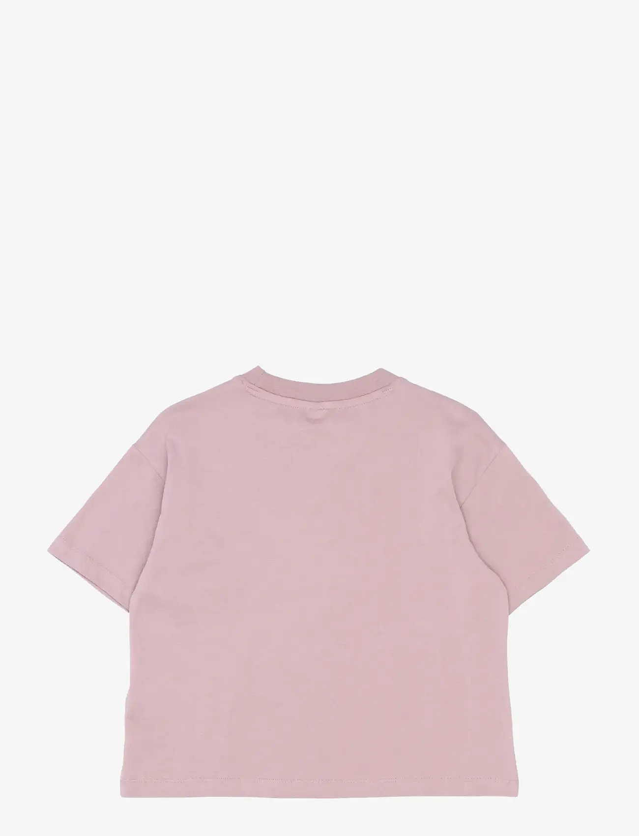 The New - TNSkye OS S_S Tee - kortärmade t-shirts - sea fog - 2