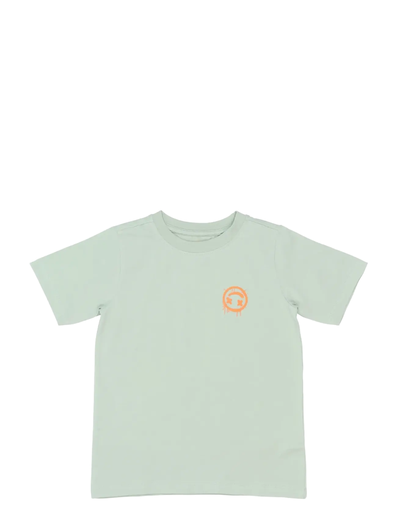 The New TNSander S_S Tee - Kids 98-134 - AQUA GRAY / green