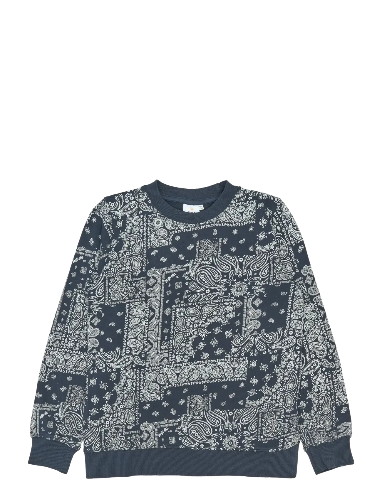 The New TNSixten Sweatshirt - App deal - NAVY BLAZER AOP / navy