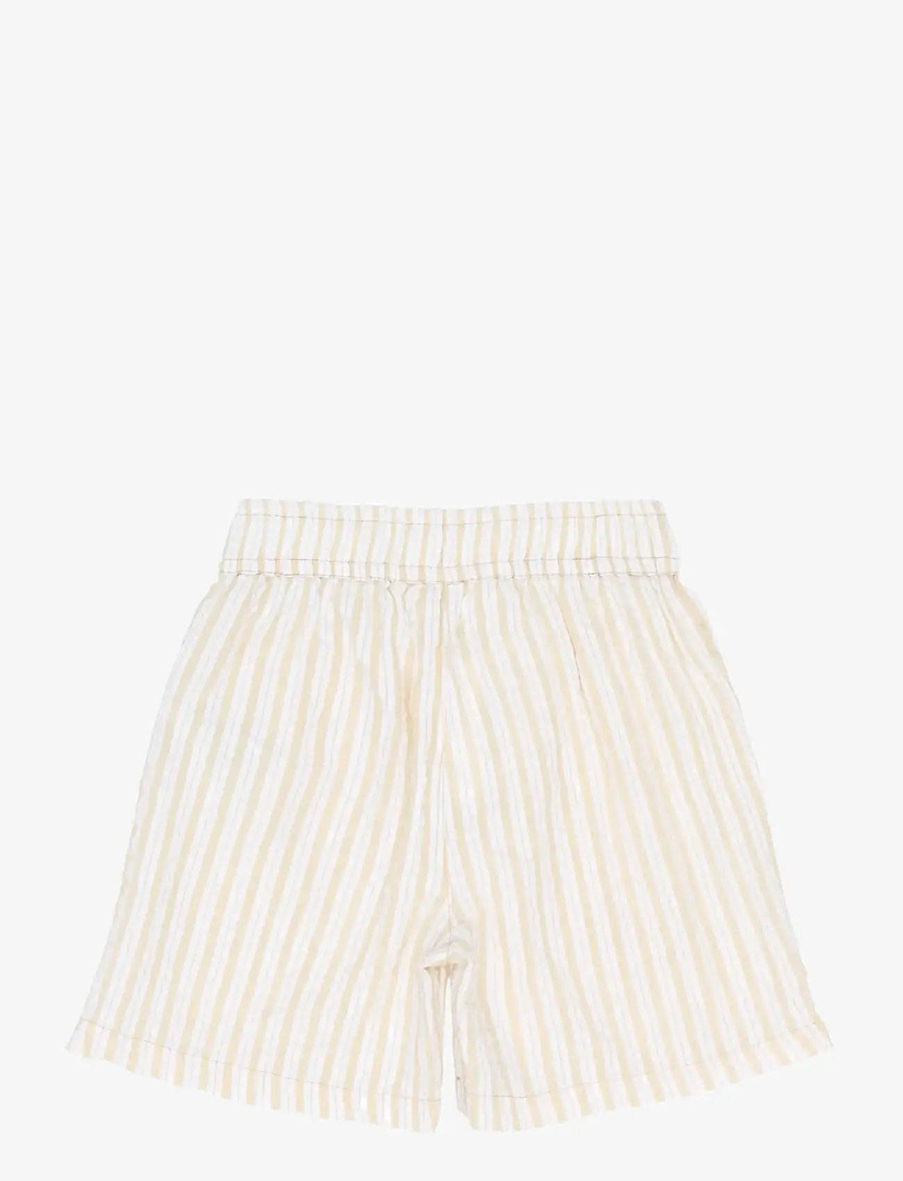 The New - TNSmith Shorts - gode sommertilbud - humus striped - 2