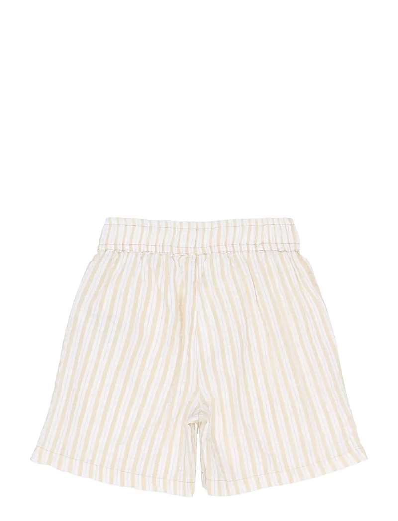 The New - TNSmith Shorts - casual shorts - humus striped - 2