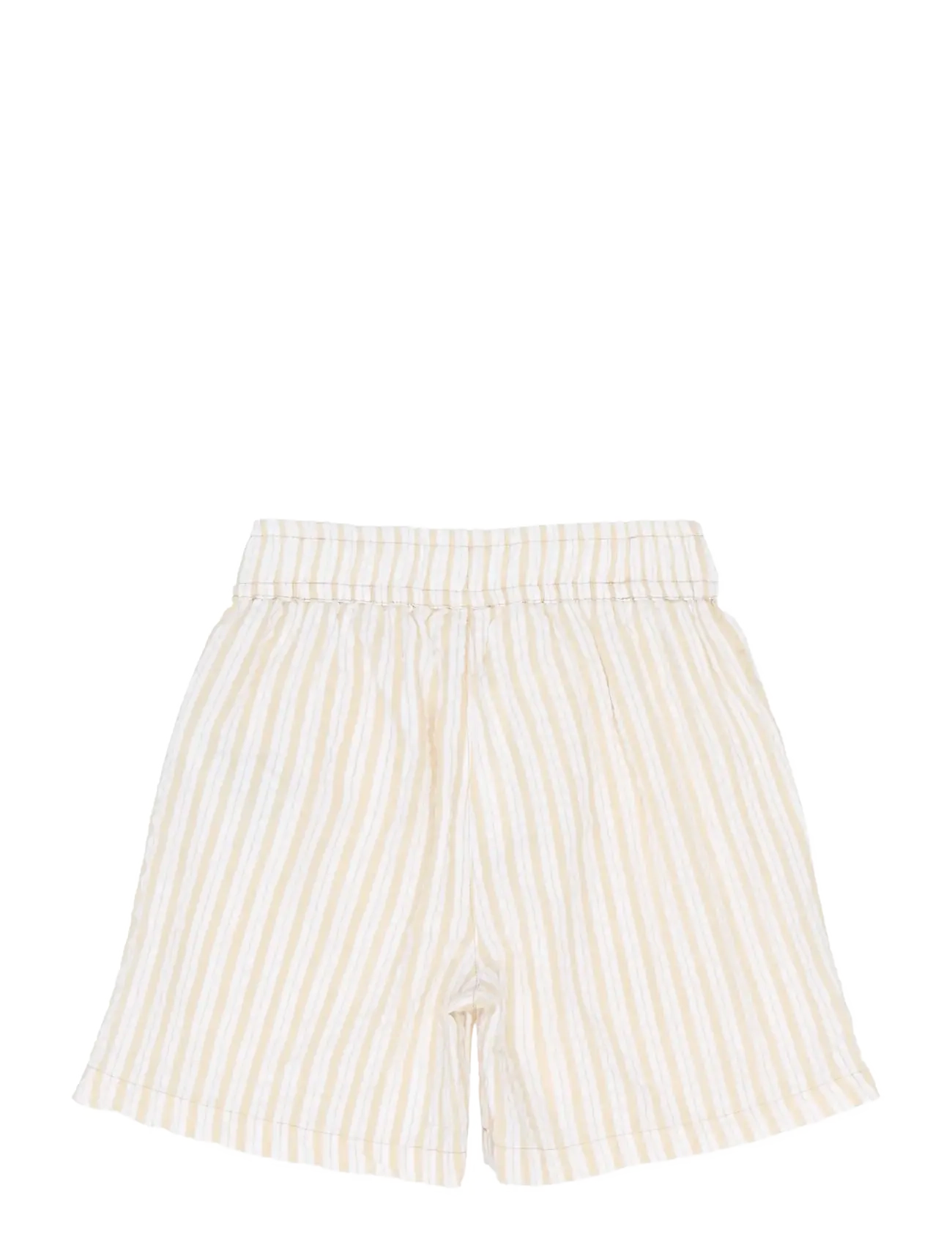 The New - TNSmith Shorts - kesälöytöjä - humus striped - 2