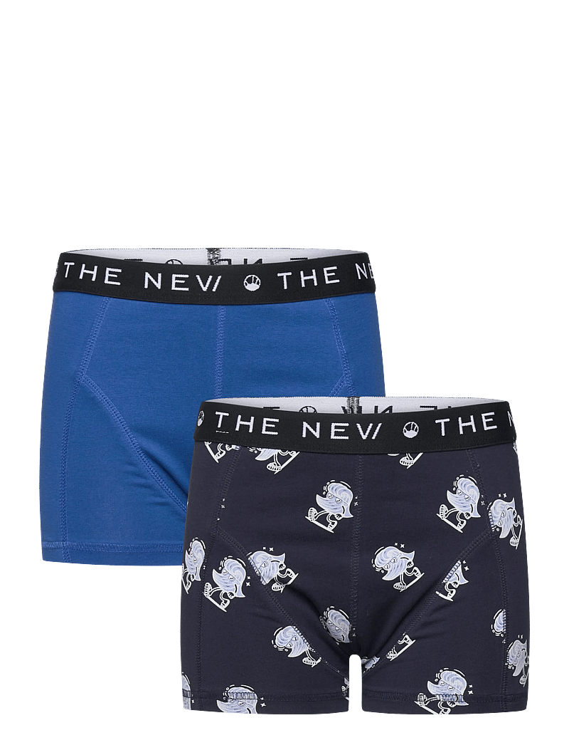 The New - TNTHE NEW Boxers 2-Pack - kalsonger - true blue aop - 0