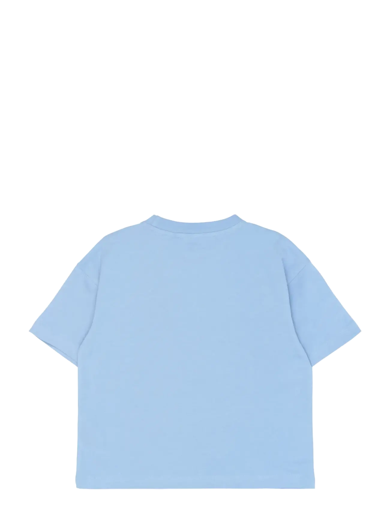 The New - TNTinsley OS S_S Tee - kurzärmelige - forever blue - 2