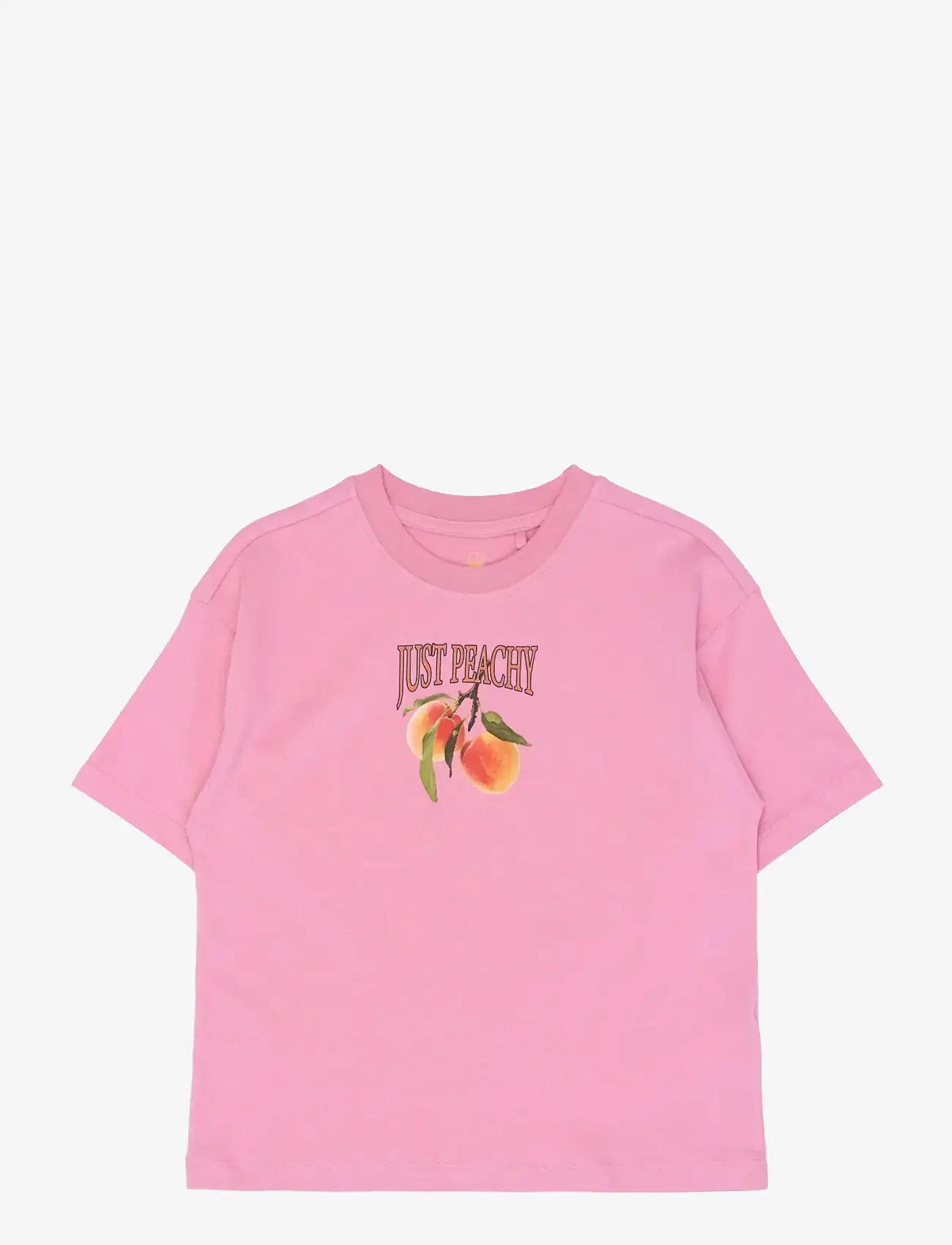 The New - TNTenna OS S_S Tee - kortærmede t-shirts - cashmere rose - 1