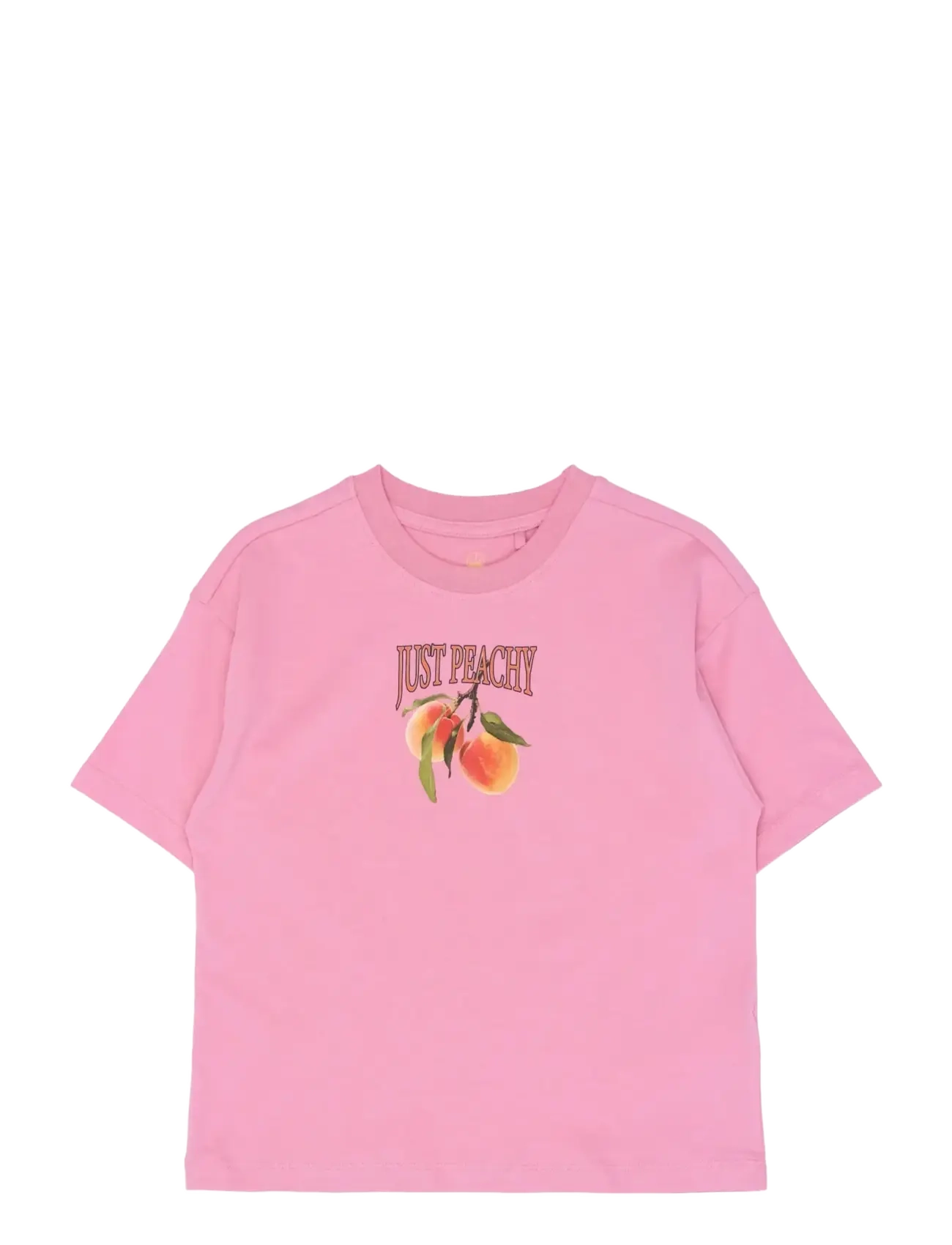 The New TNTenna OS S_S Tee - Nouveautés - CASHMERE ROSE / pink/rose