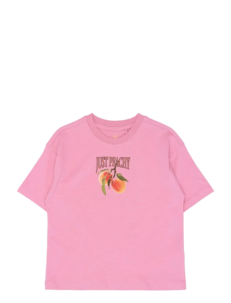 The New - TNTenna OS S_S Tee - kortærmede t-shirts - cashmere rose - 1