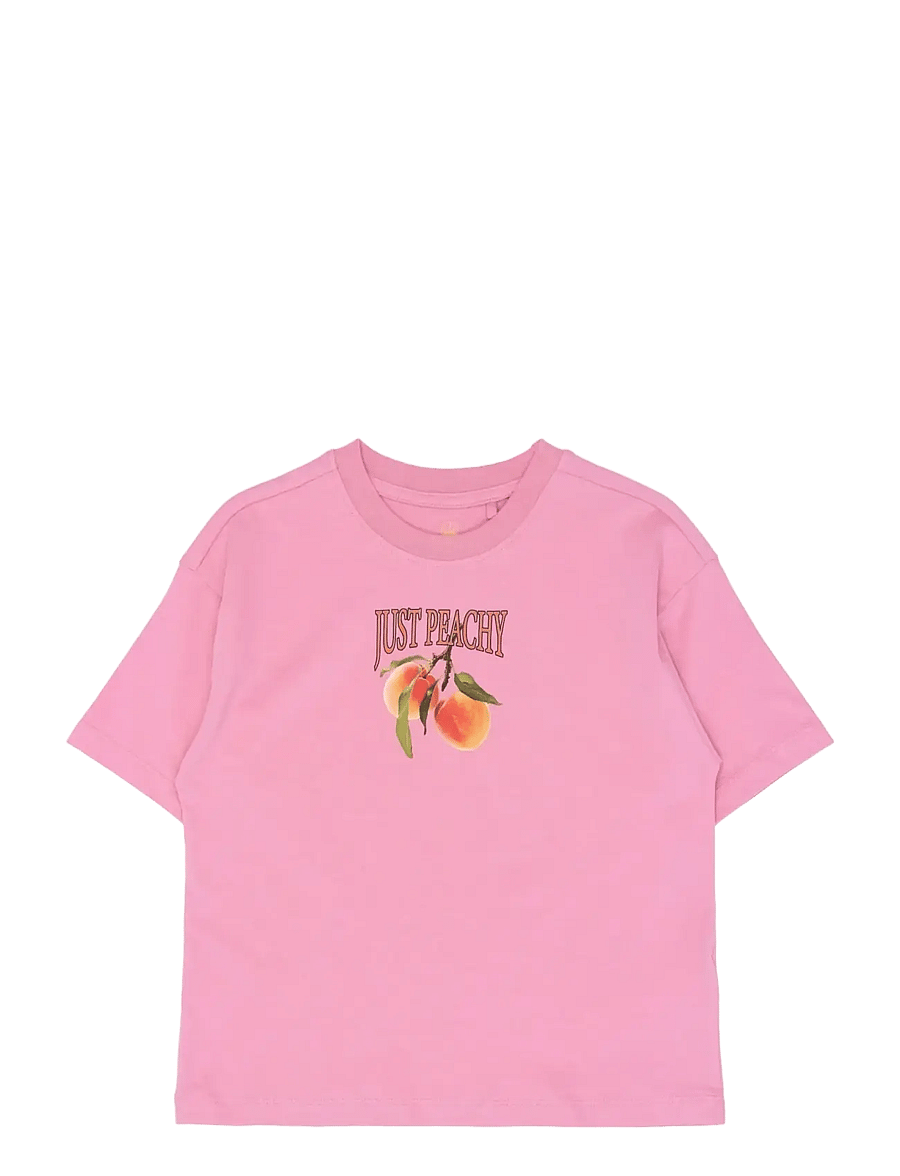 The New - TNTenna OS S_S Tee - kortermede t-skjorter - cashmere rose - 1