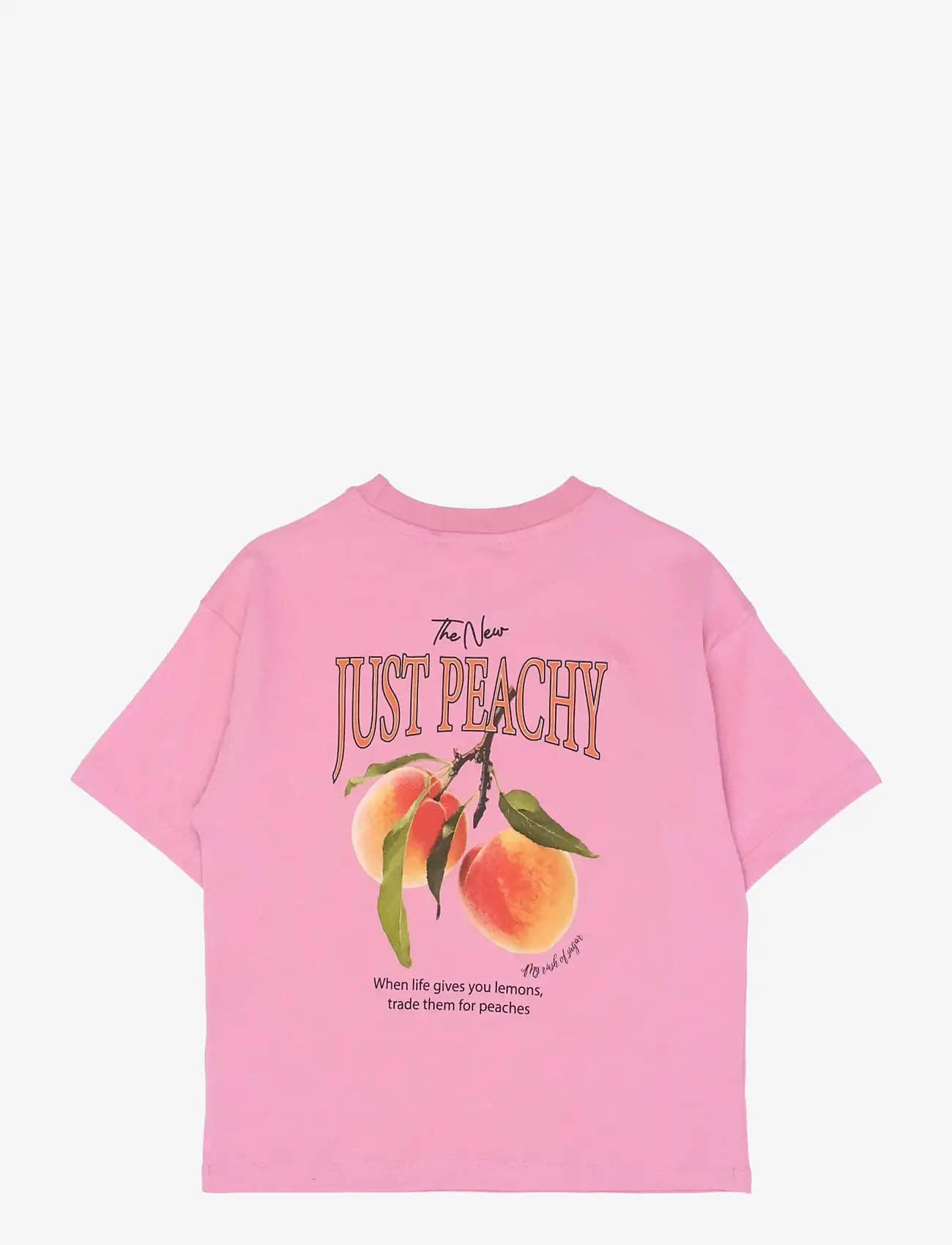 The New - TNTenna OS S_S Tee - kortærmede t-shirts - cashmere rose - 2