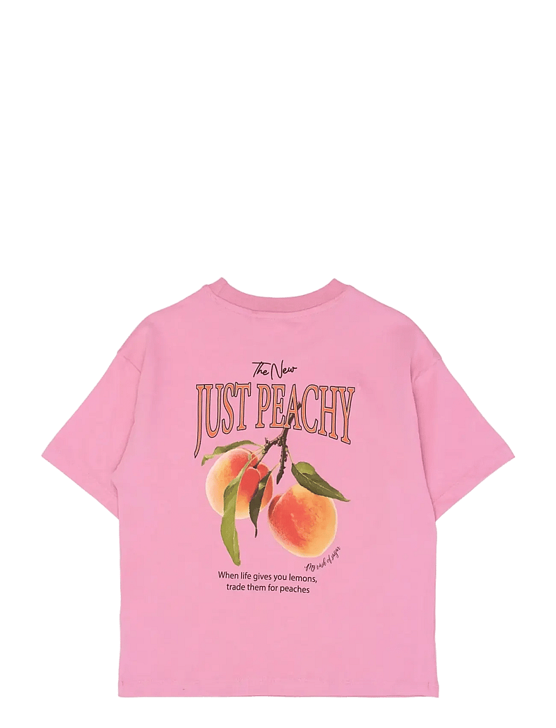 The New - TNTenna OS S_S Tee - kortærmede t-shirts - cashmere rose - 2